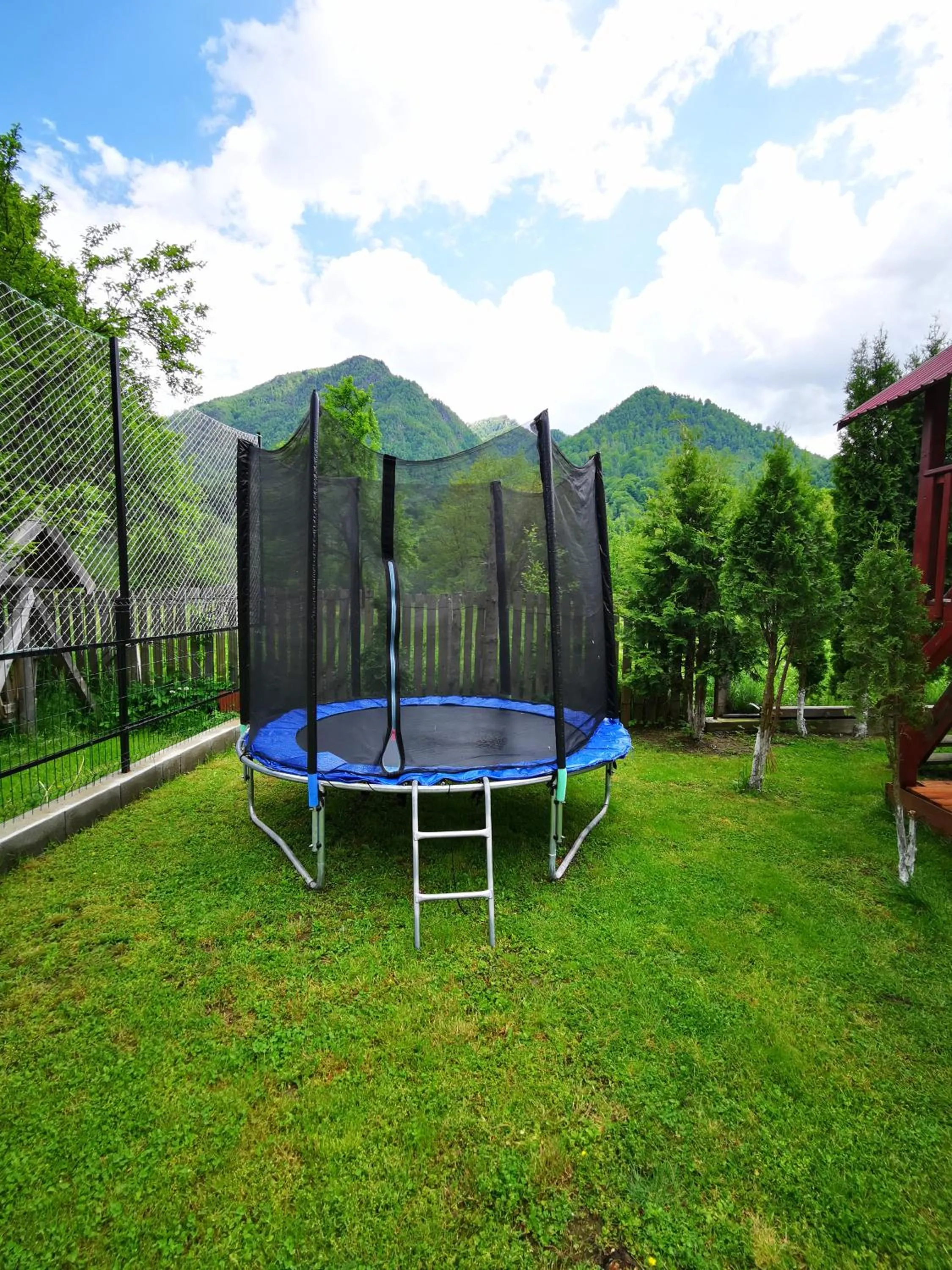 Garden in Dendy