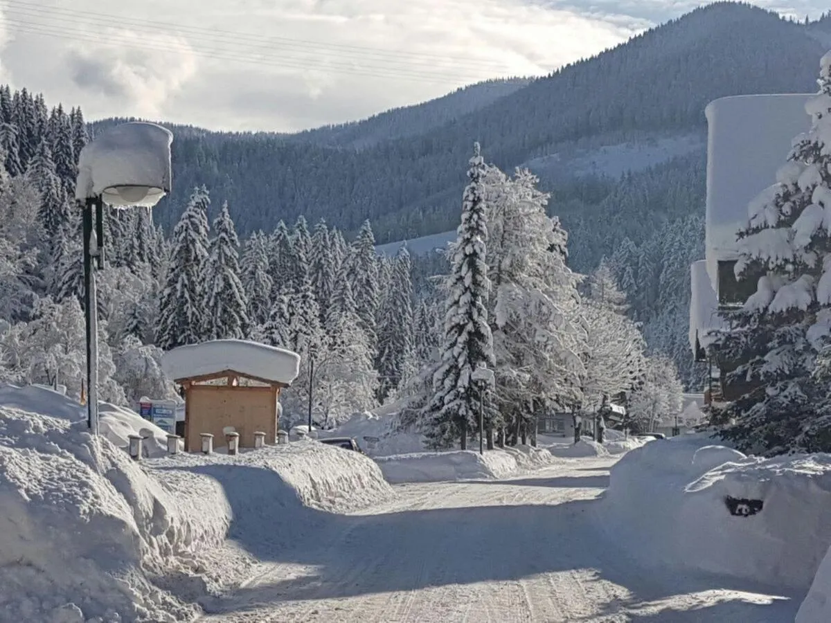 Natural landscape in Pension Haus Rohrmoser