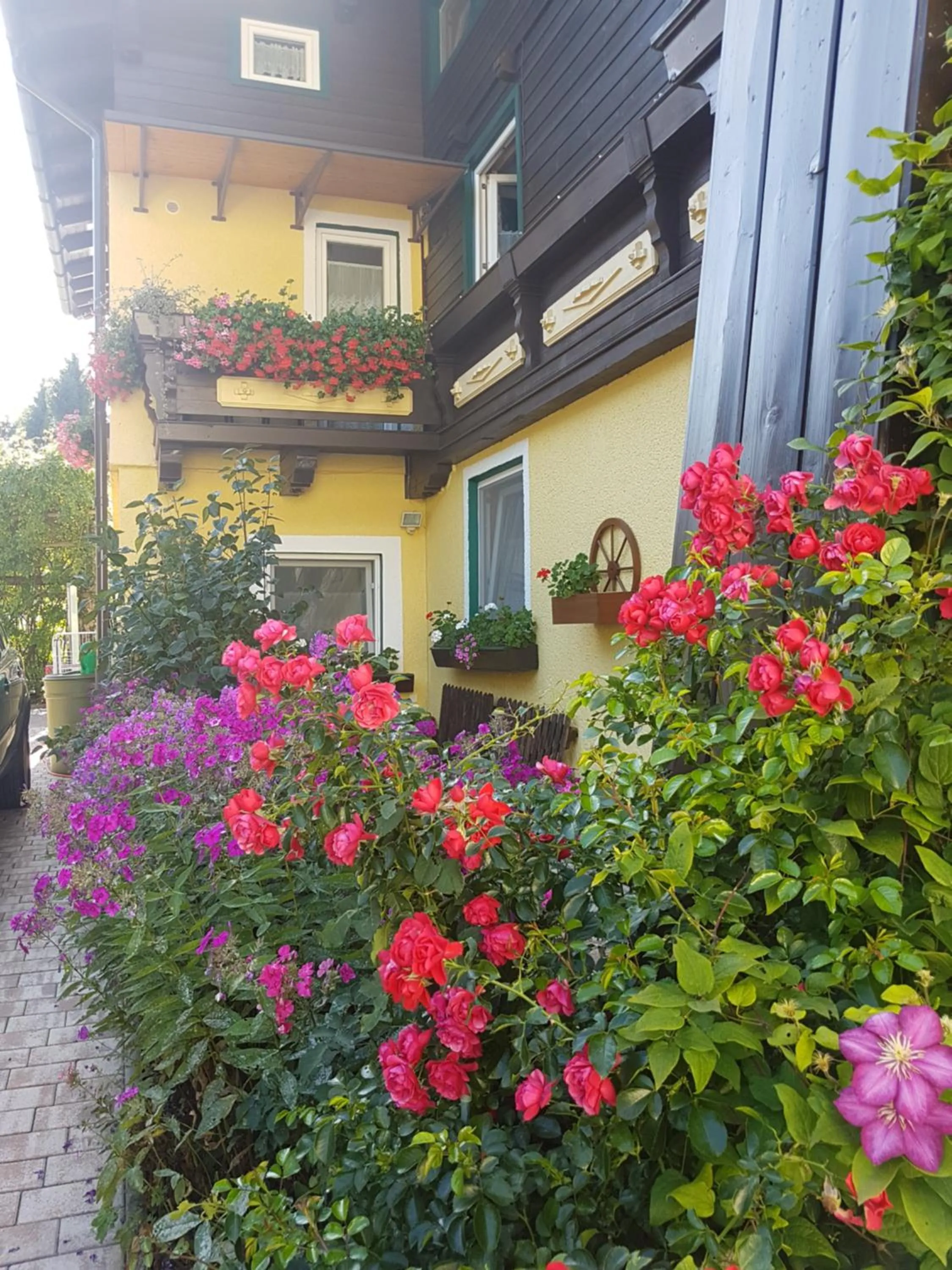 On site in Pension Haus Rohrmoser