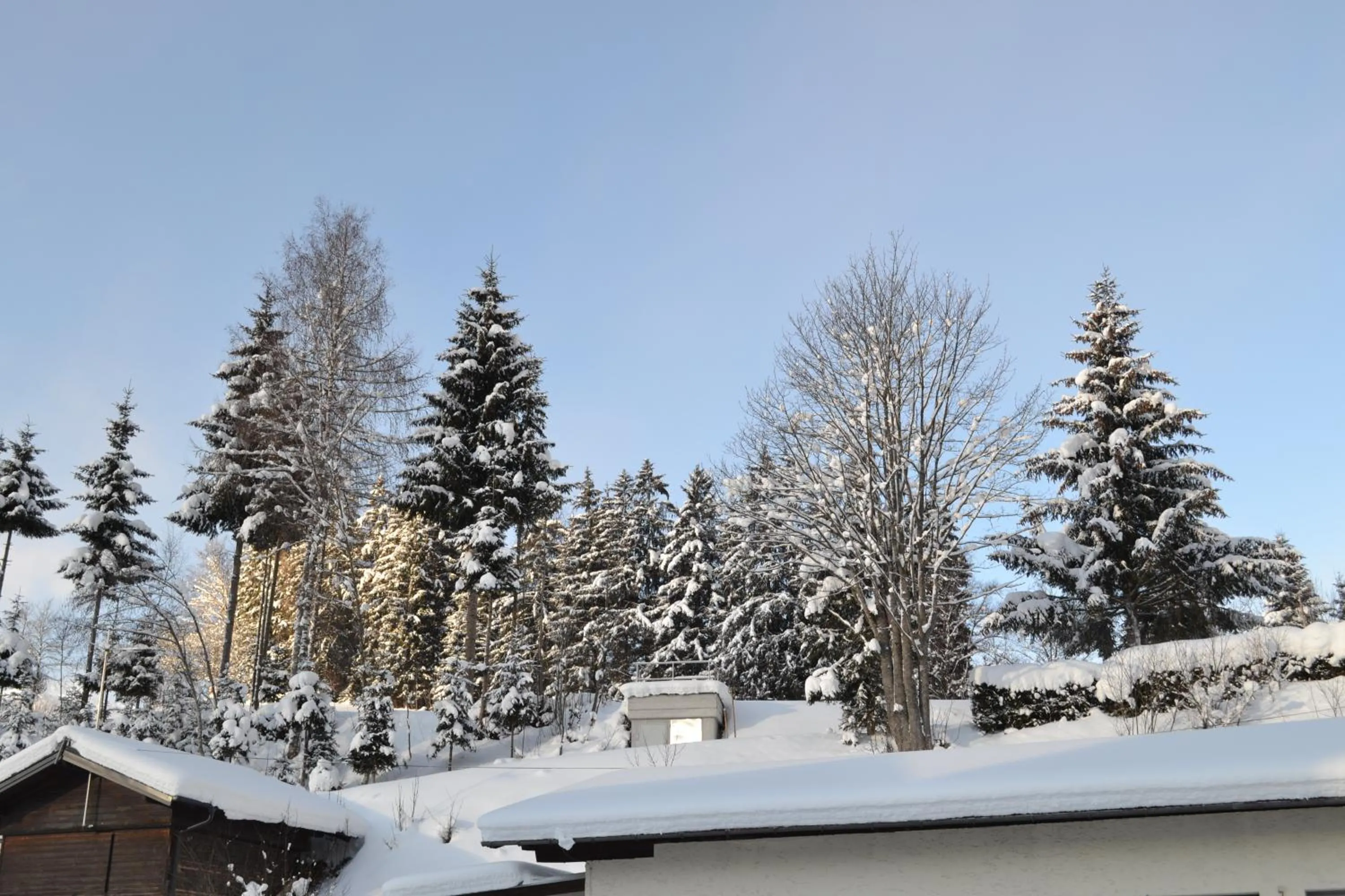 Street view in Pension Haus Rohrmoser