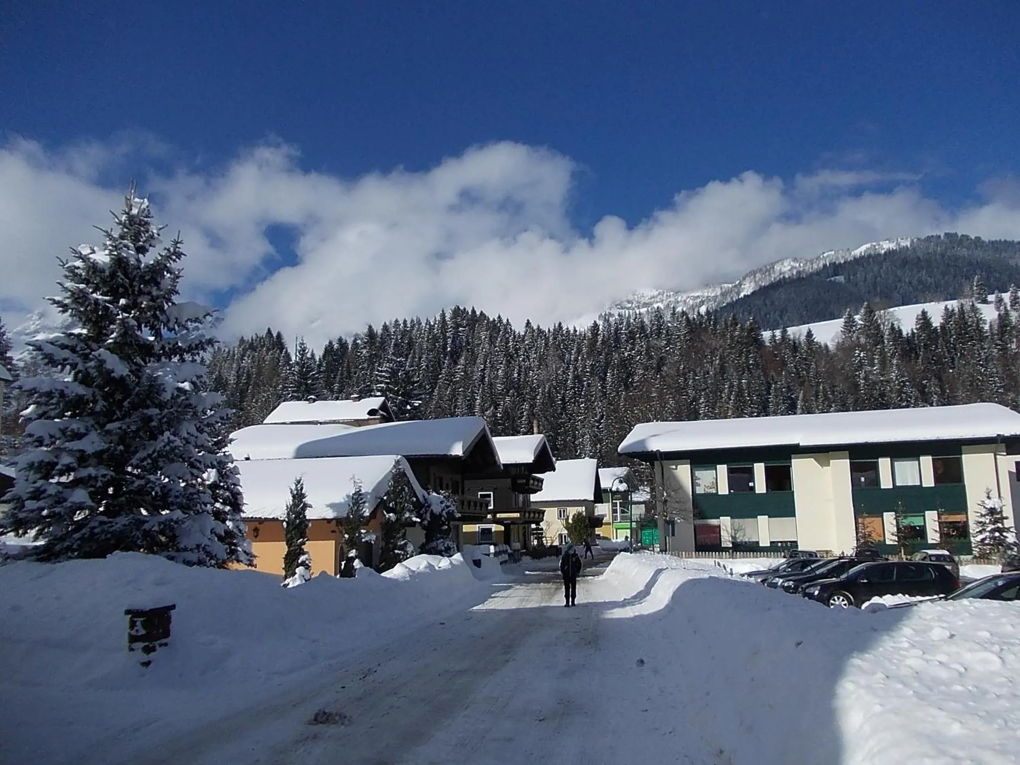 Neighbourhood in Pension Haus Rohrmoser