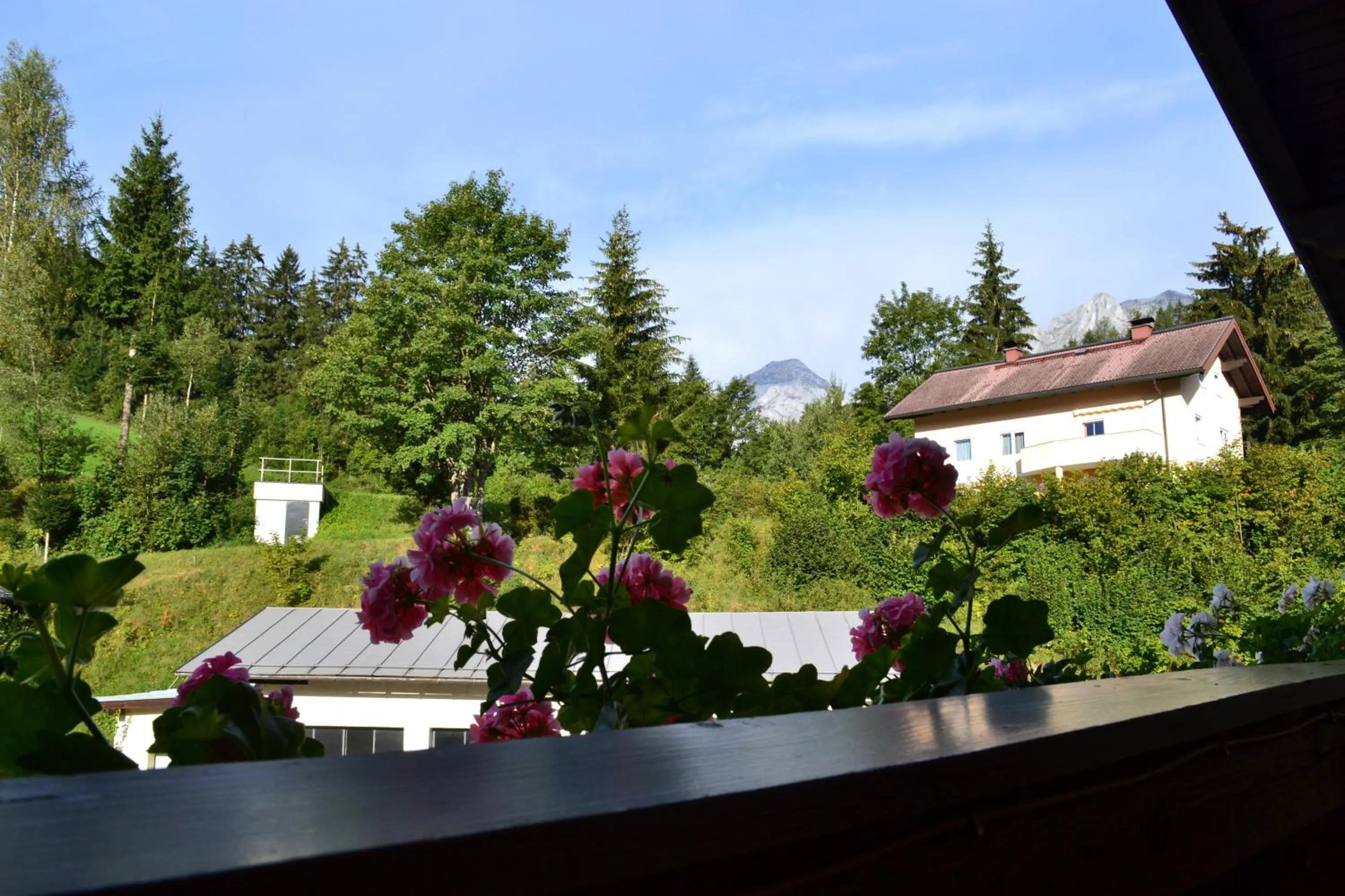Balcony/Terrace in Pension Haus Rohrmoser