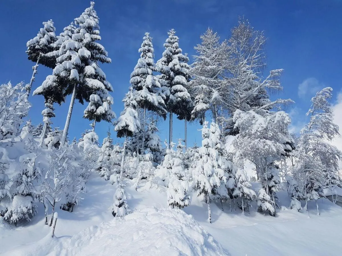 Natural landscape in Pension Haus Rohrmoser
