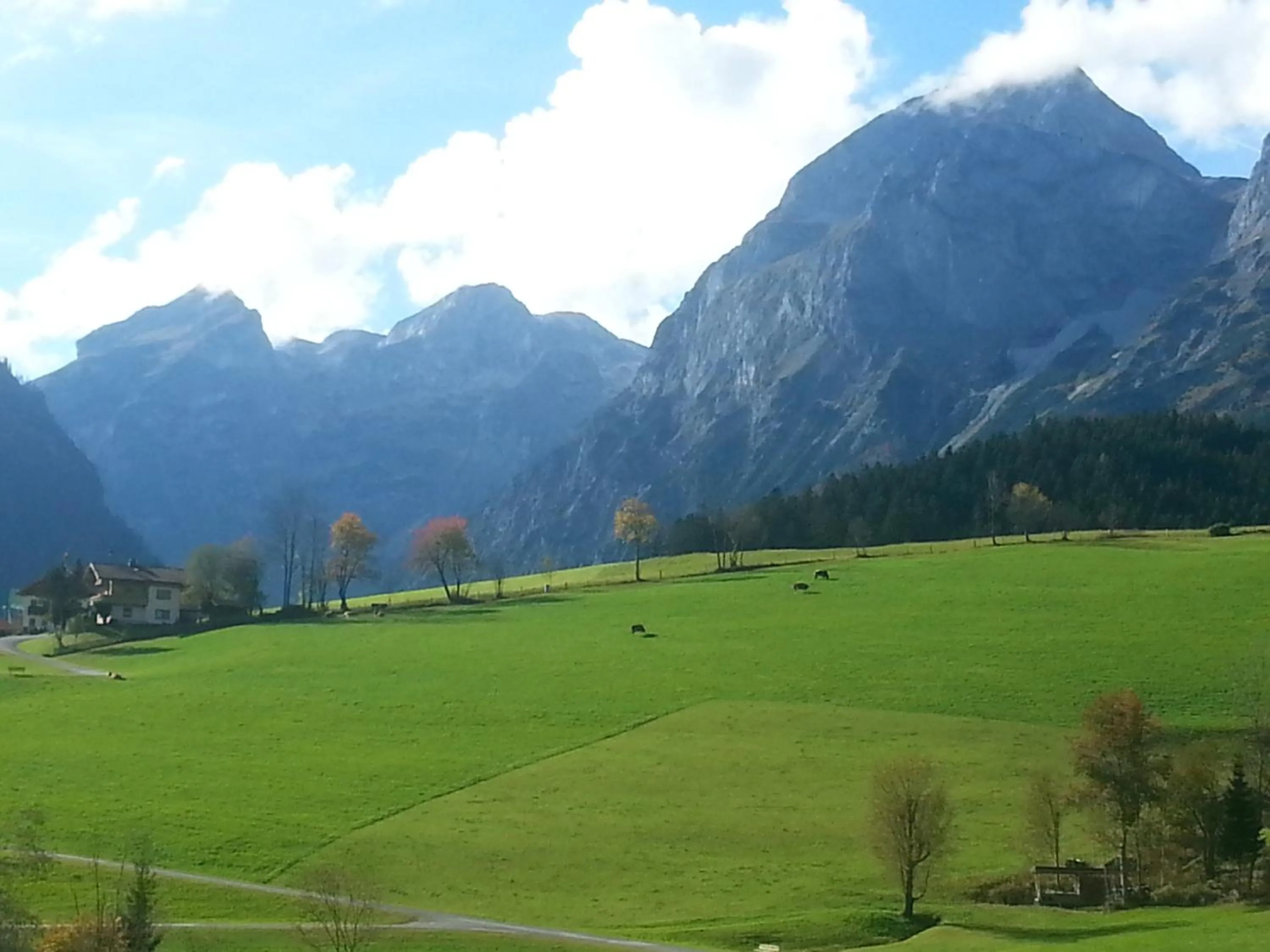 Cycling in Pension Haus Rohrmoser