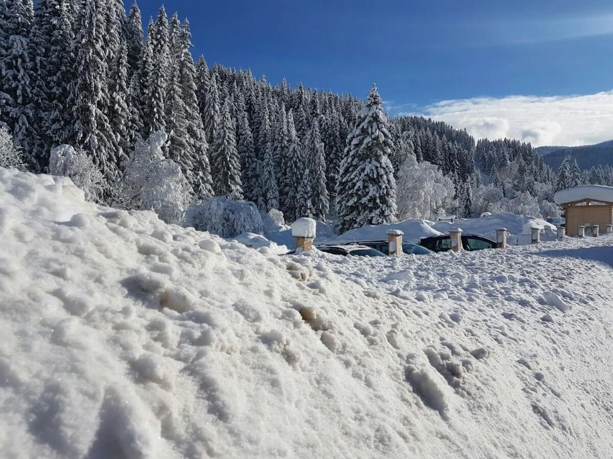 Natural landscape in Pension Haus Rohrmoser