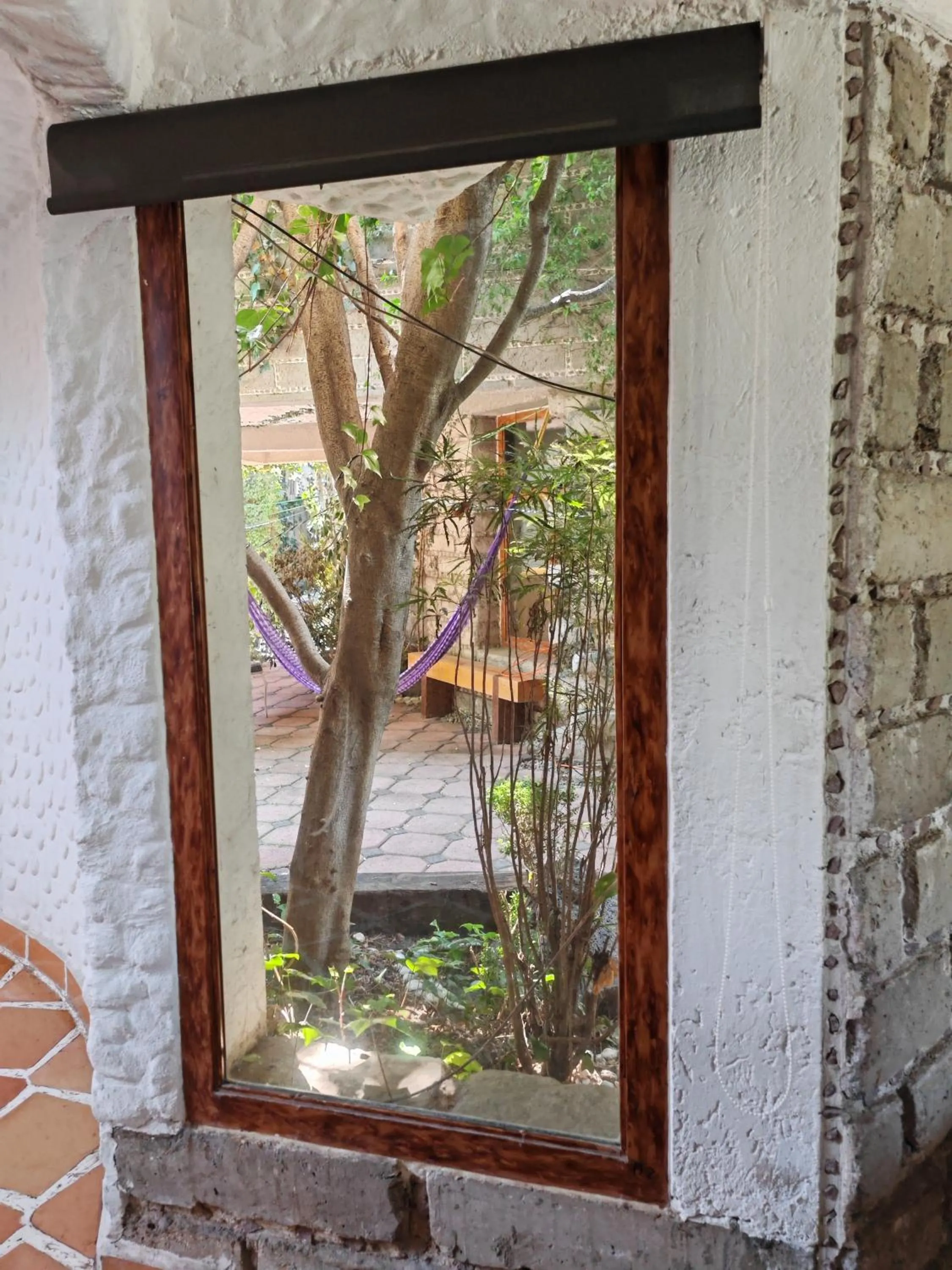 Garden in Mansion Tepotzotlan