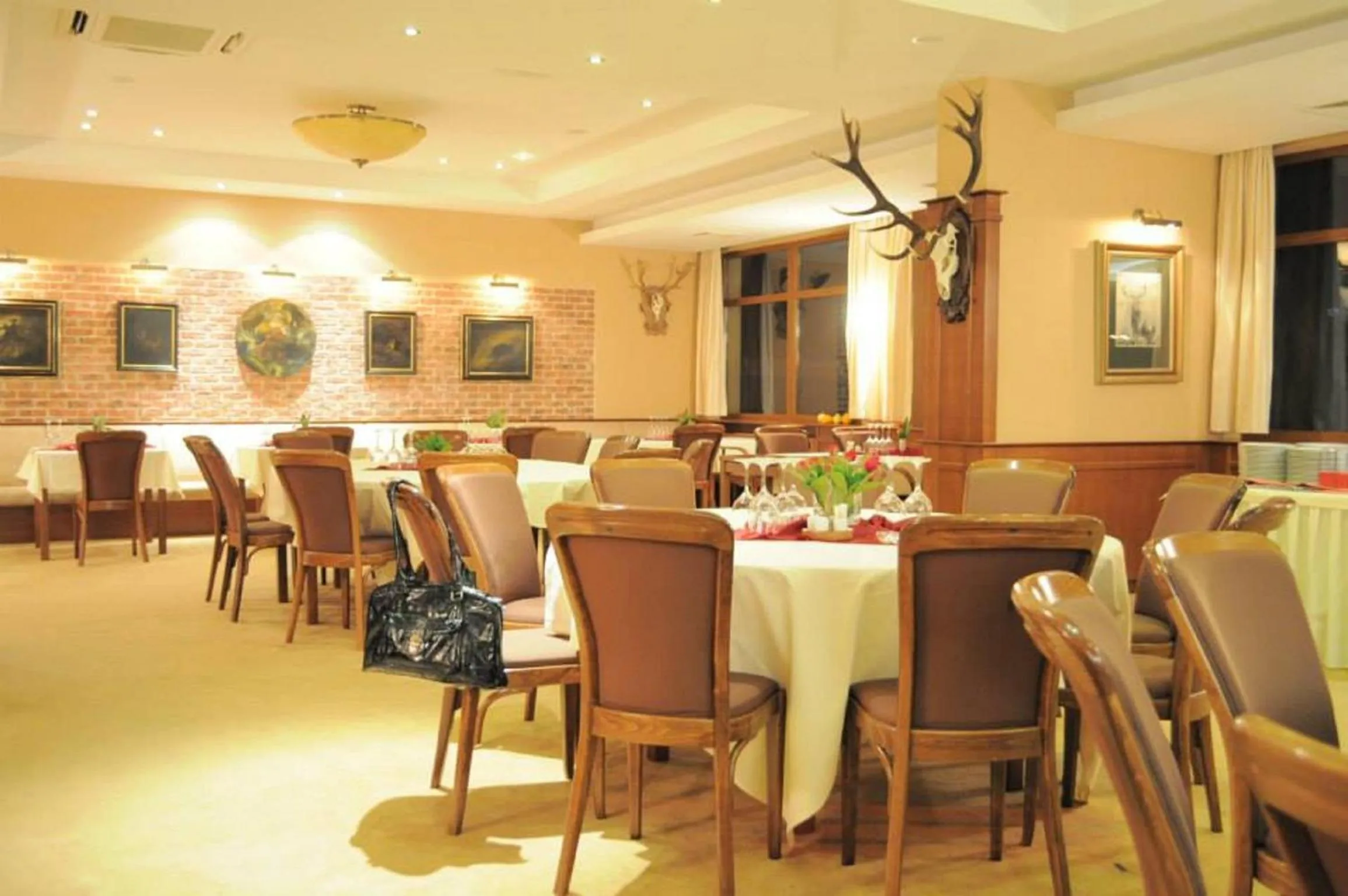 Restaurant/places to eat in Penzion Diana