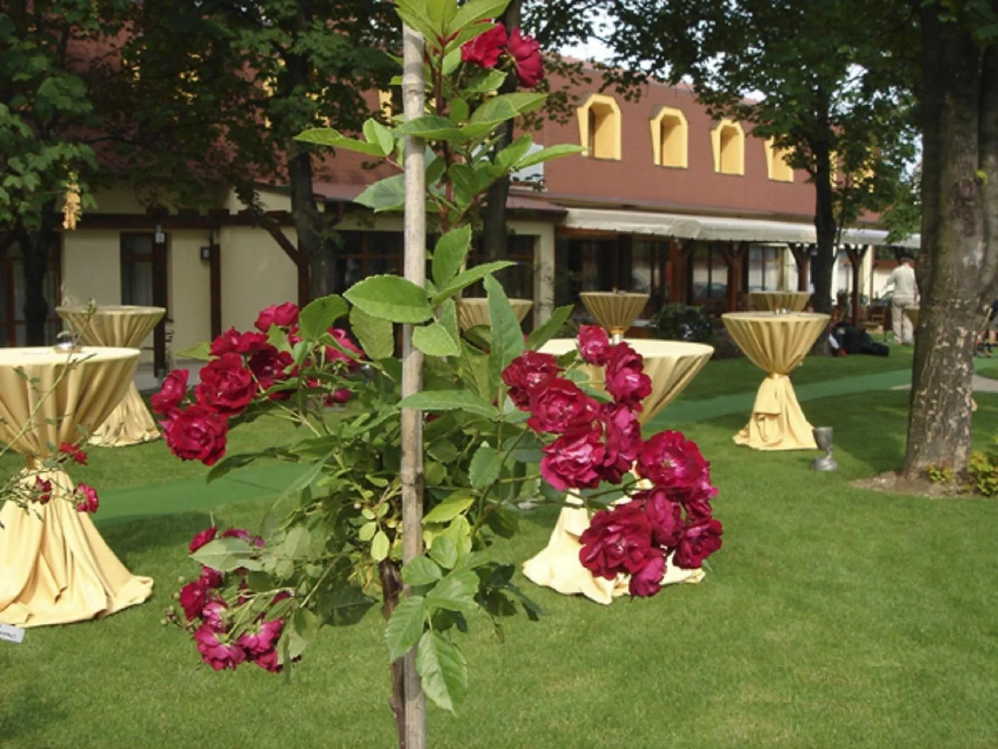 Garden in Penzion Diana