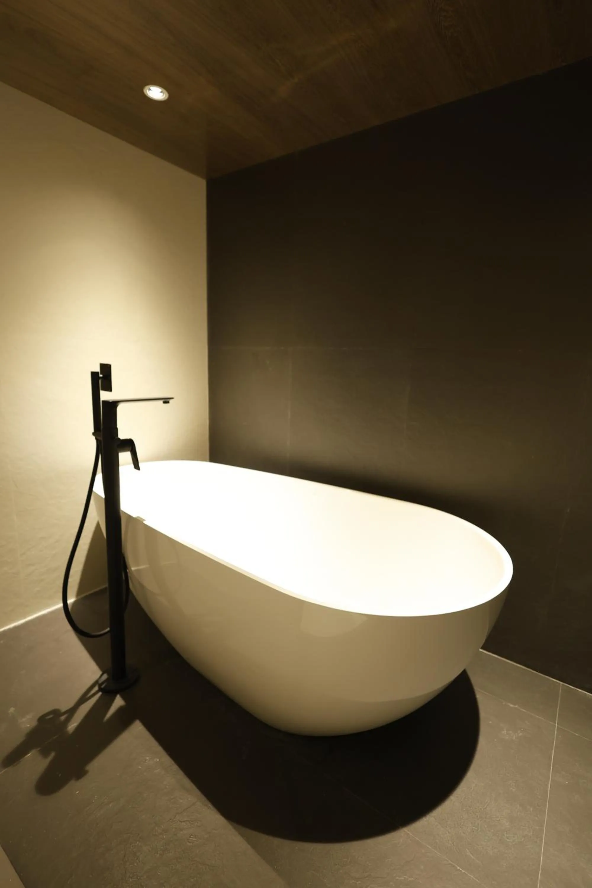 Bathroom in Royal Bishnu