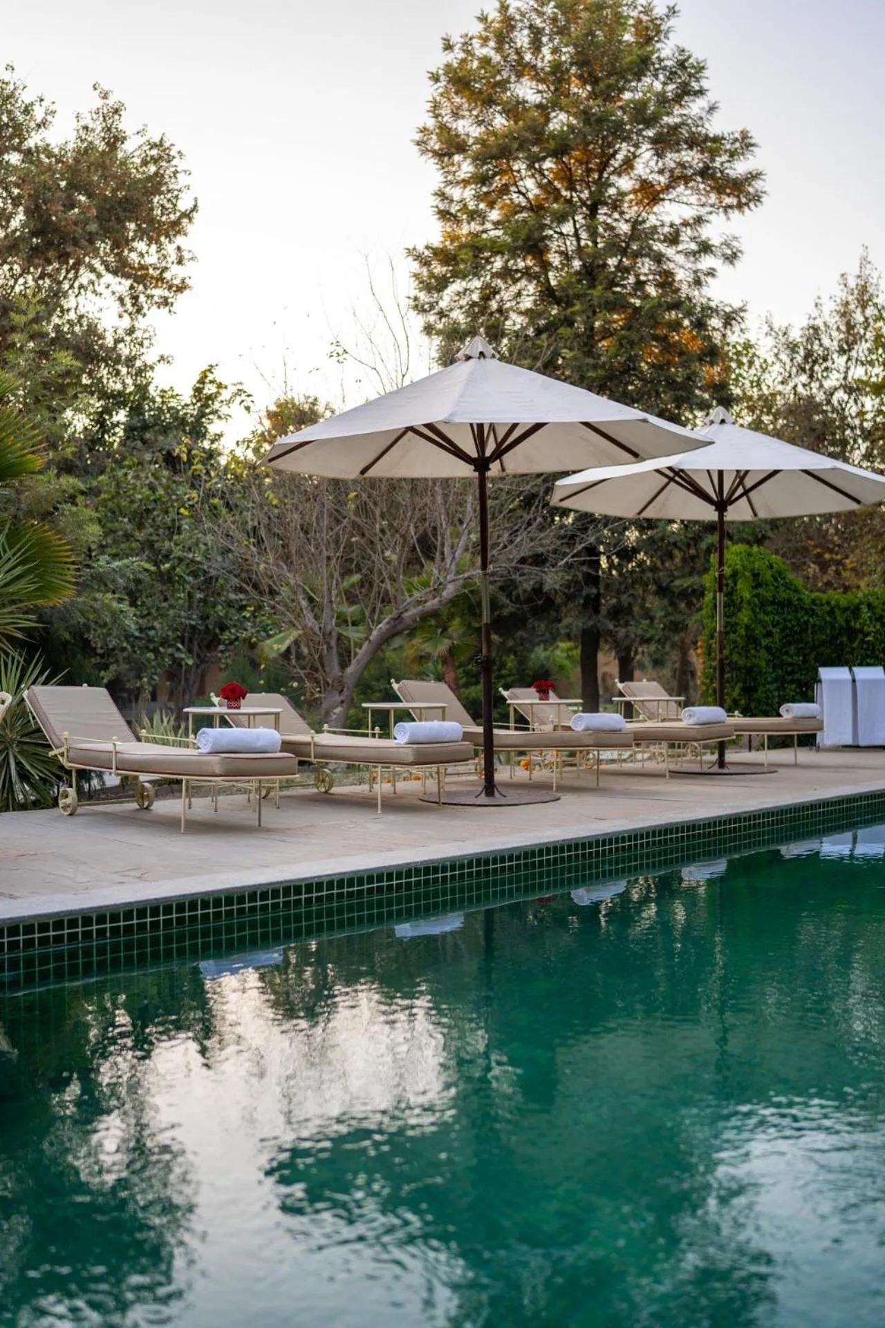 Swimming pool in Srinivas The Royal Residence, Jaipur