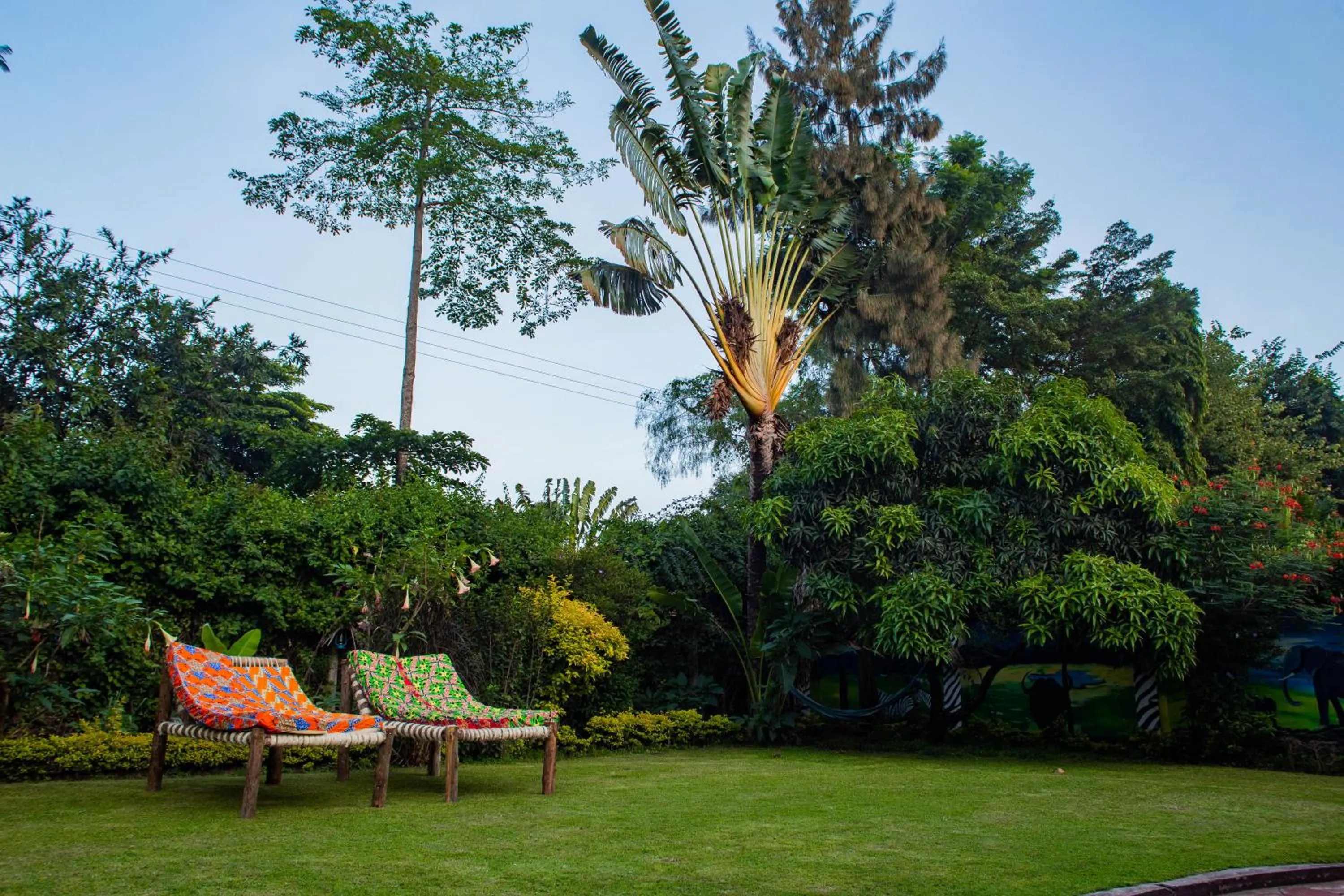 Garden in White House of Tanzania