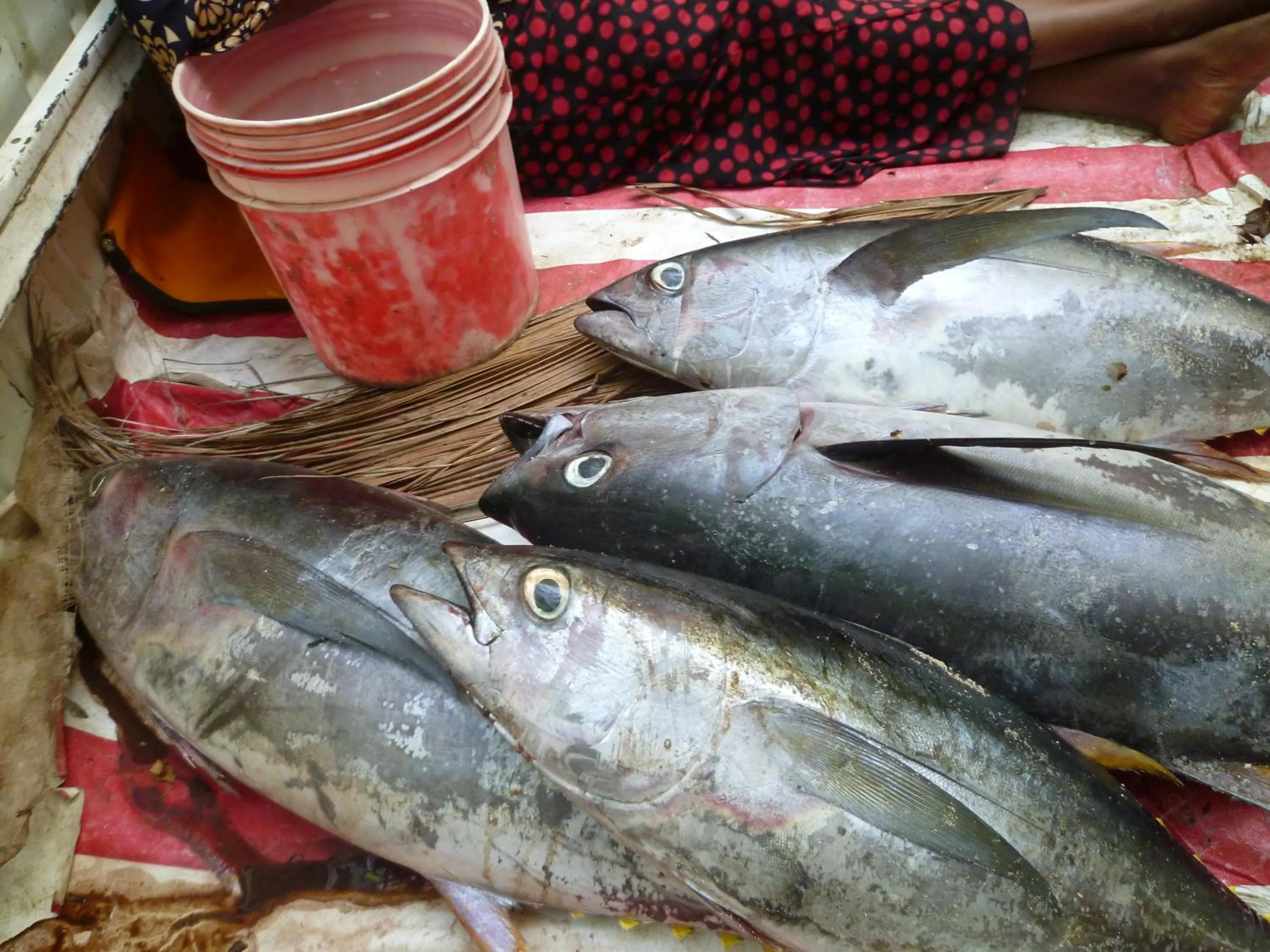 Lunch in Paradise Beach Bungalows