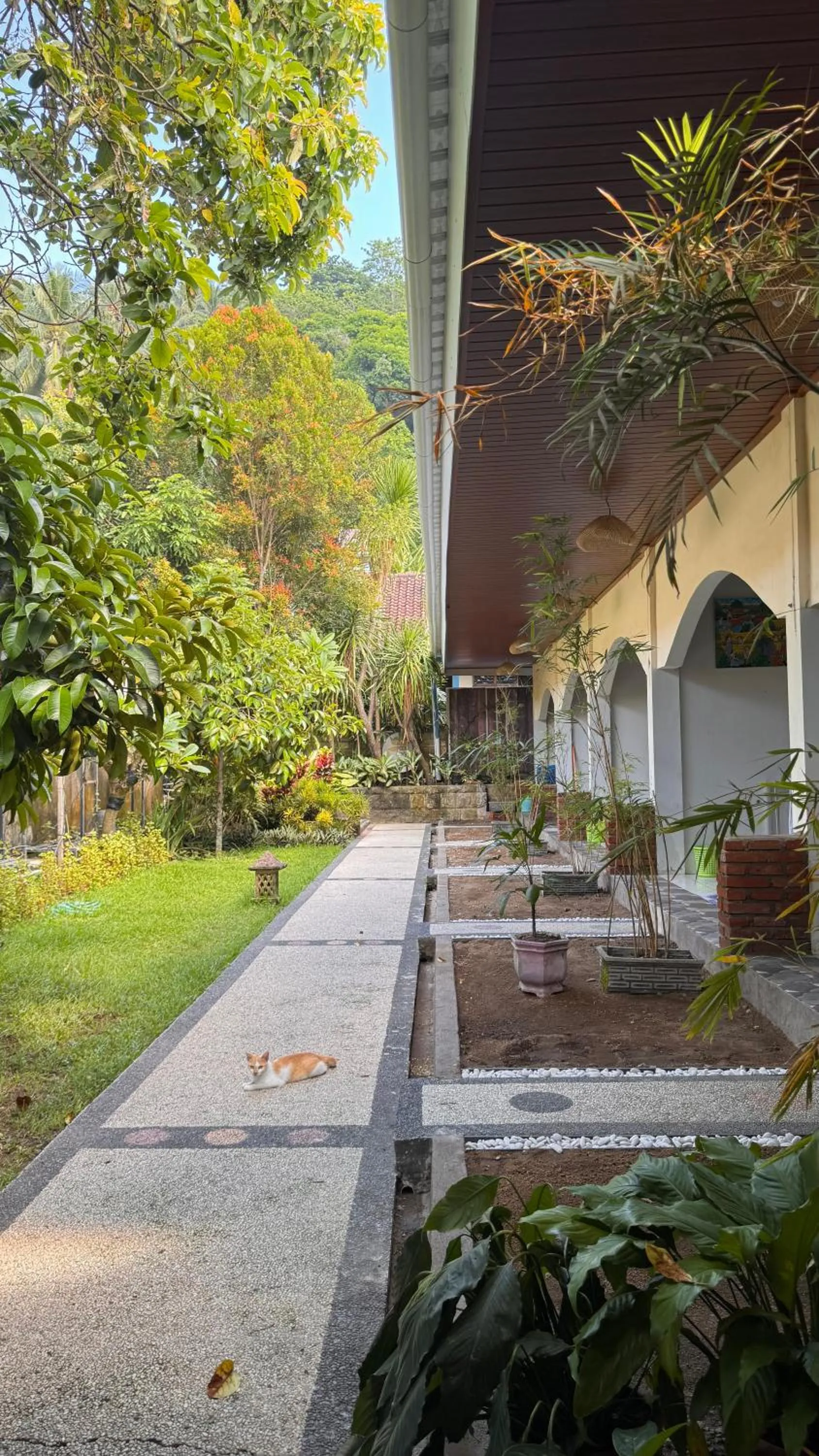 Garden in Senggigi Cottages Lombok