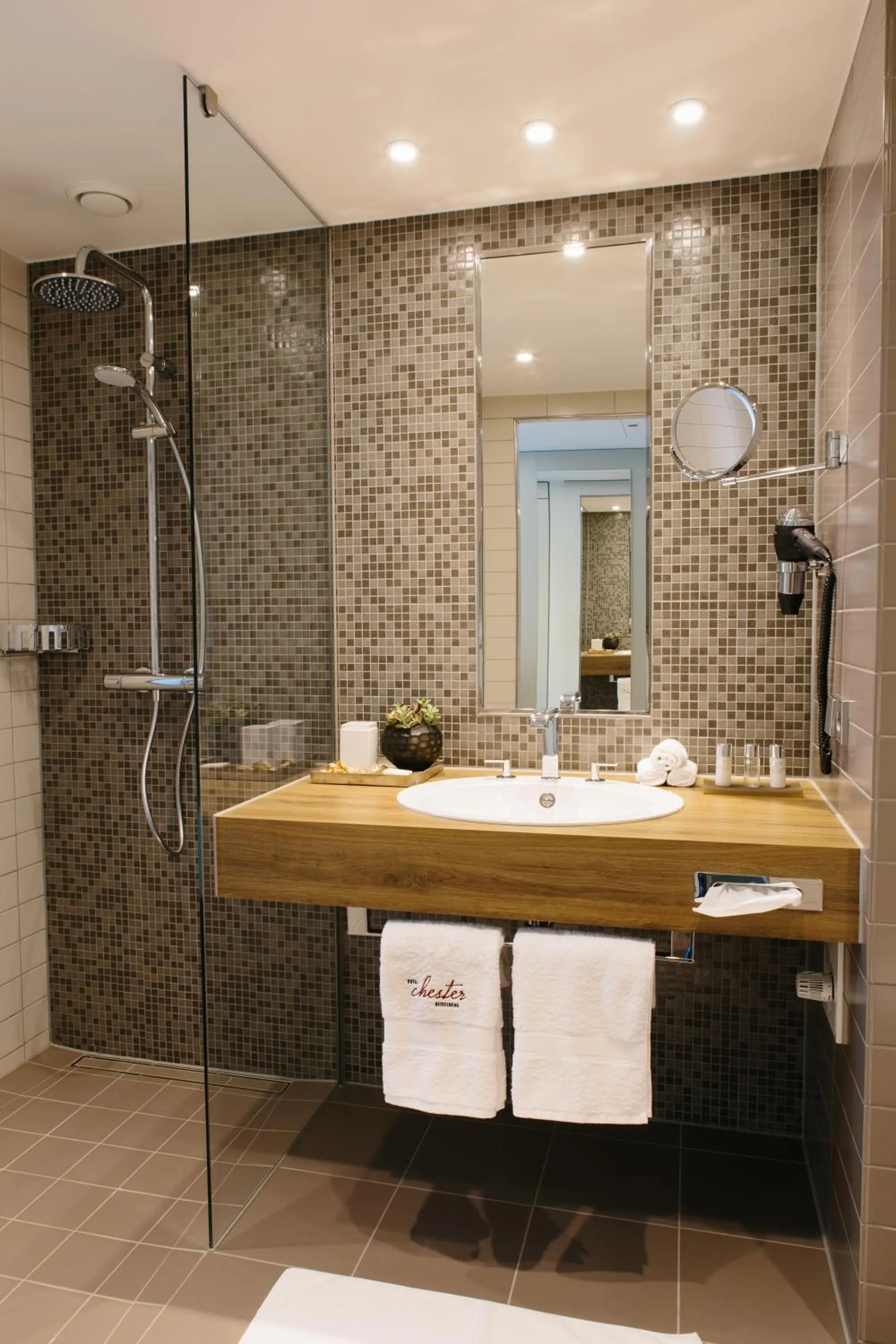 Shower in Chester Hotel Heidelberg