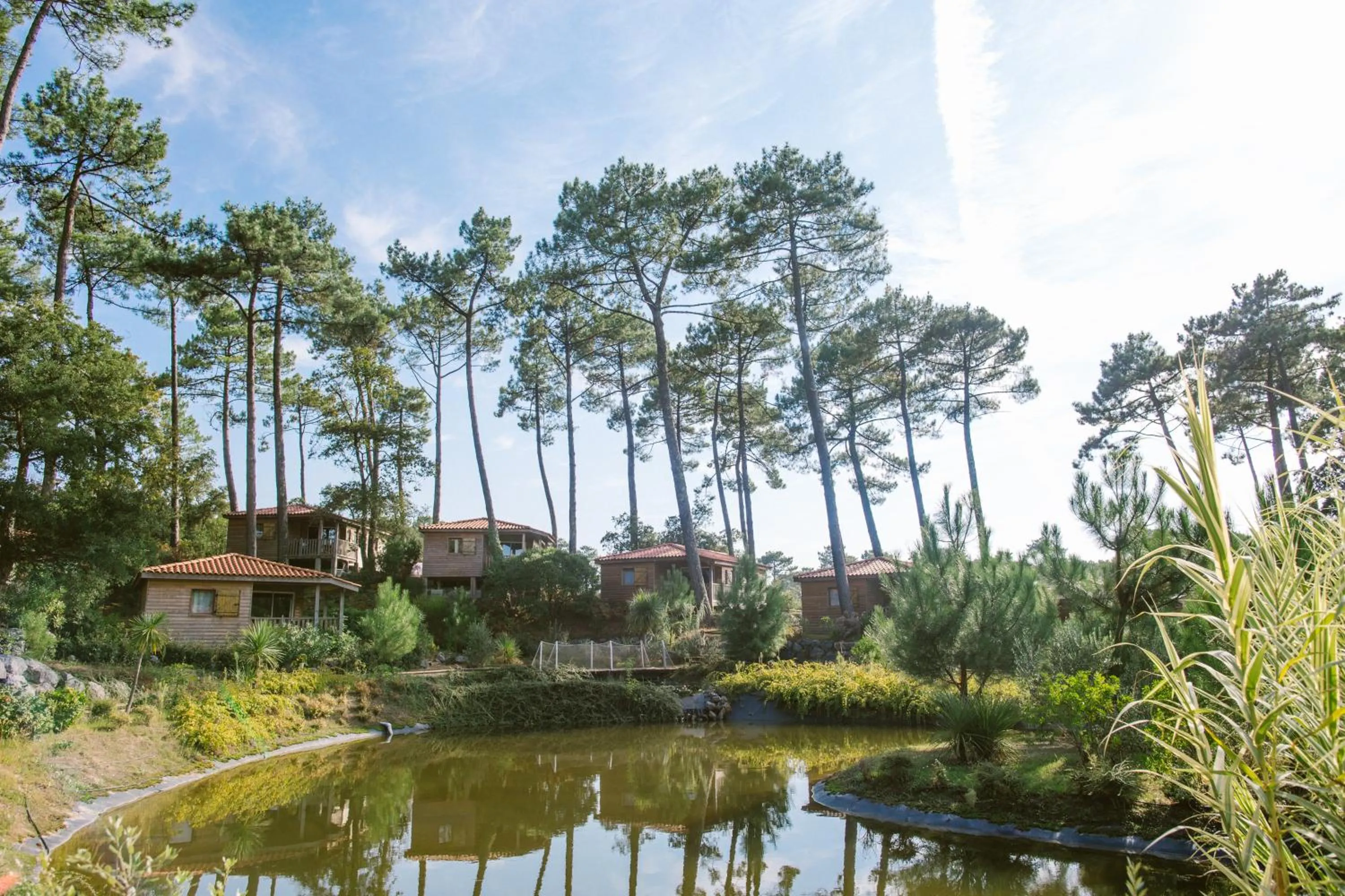 View (from property/room) in Naturéo