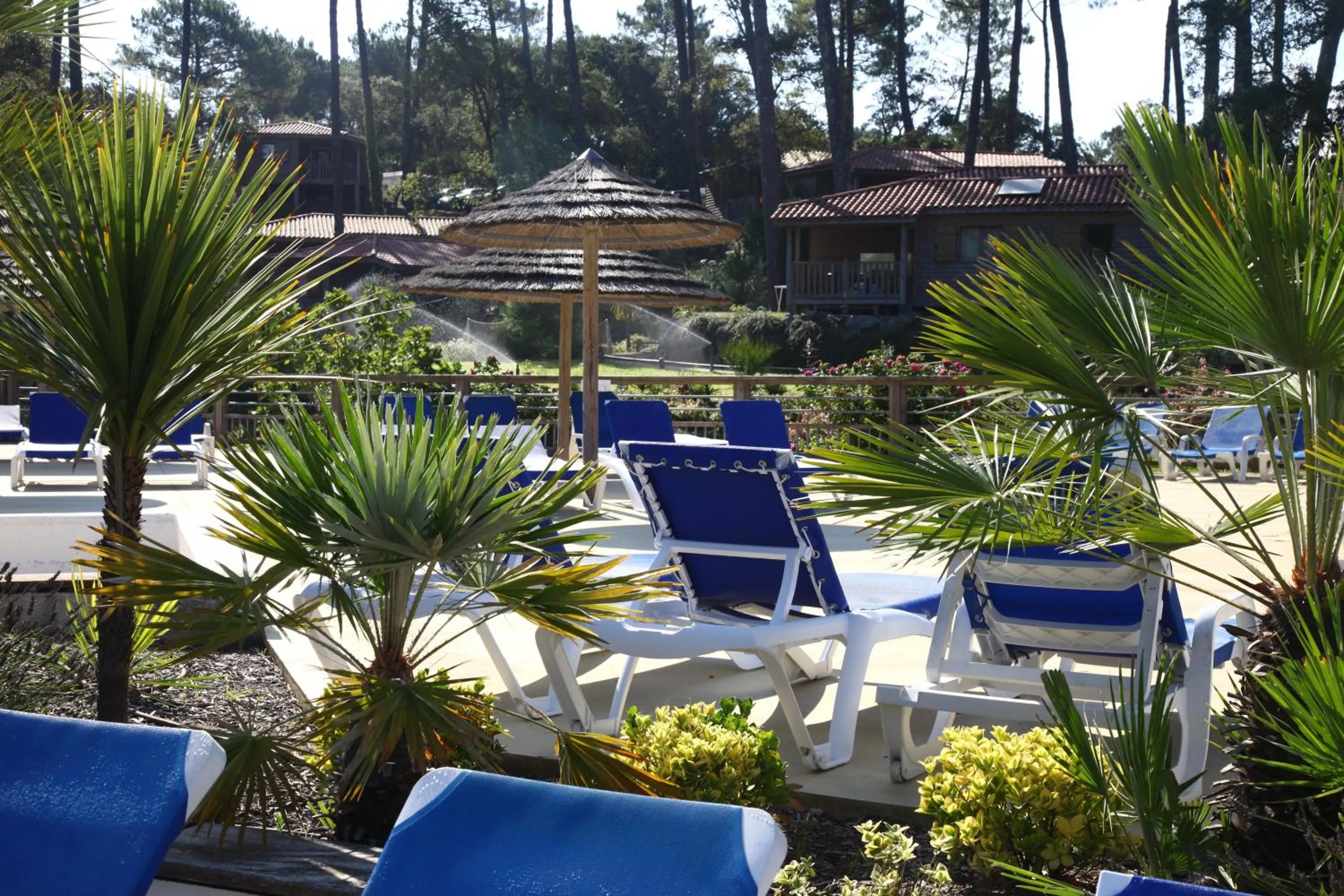 Swimming pool in Naturéo