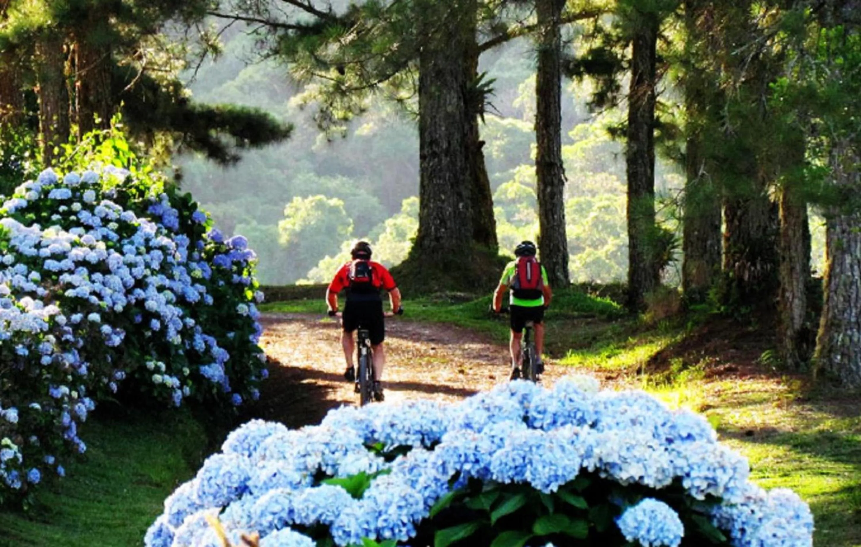 Cycling in Blue Hill Hotel