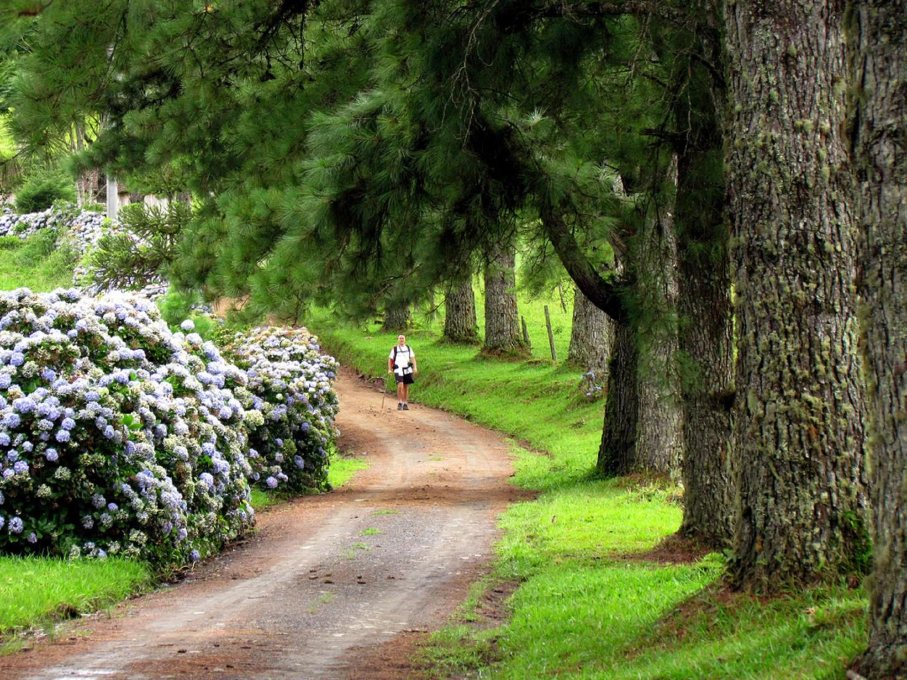 Sports in Blue Hill Hotel
