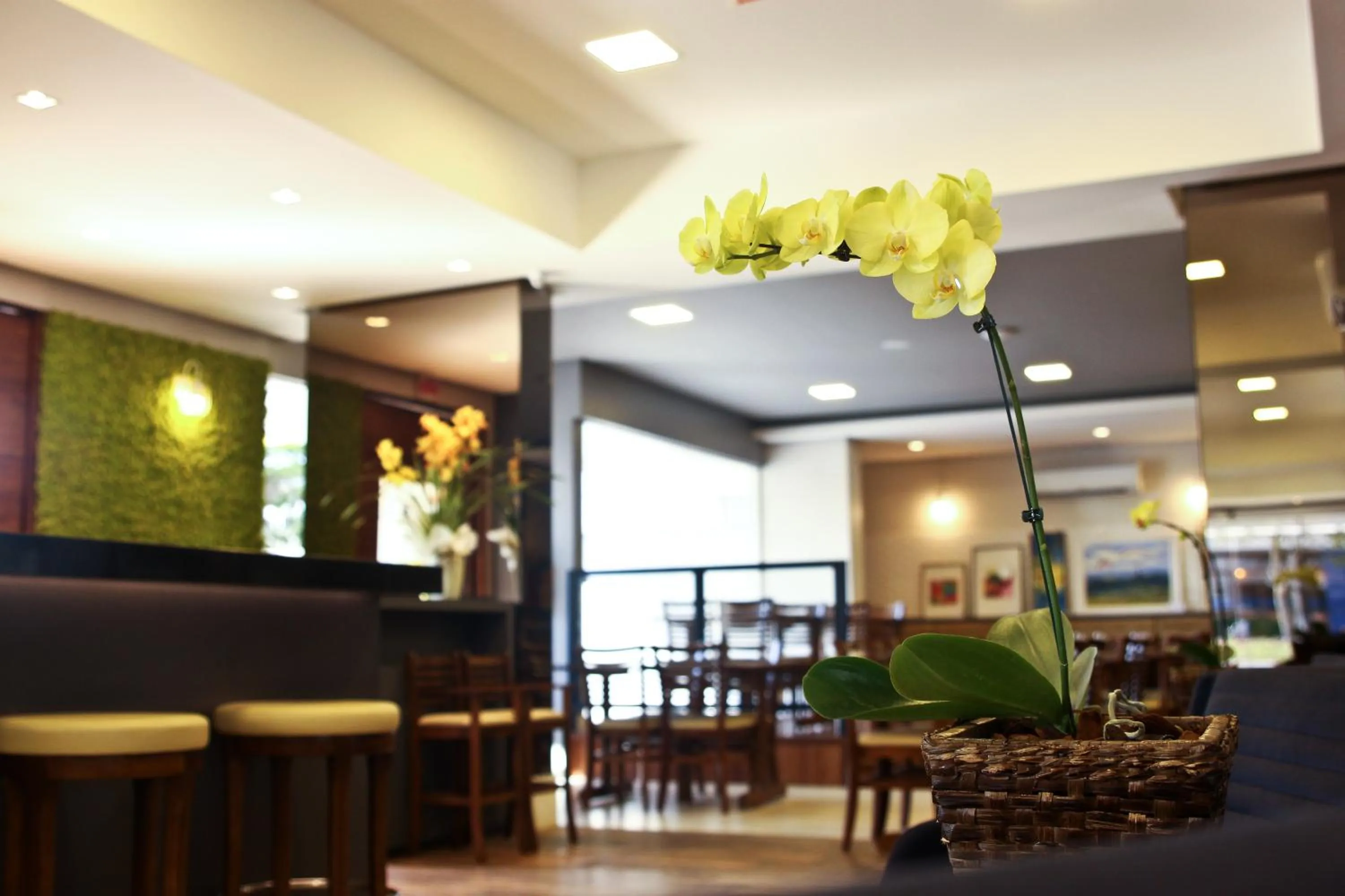 Lounge or bar in Blue Hill Hotel