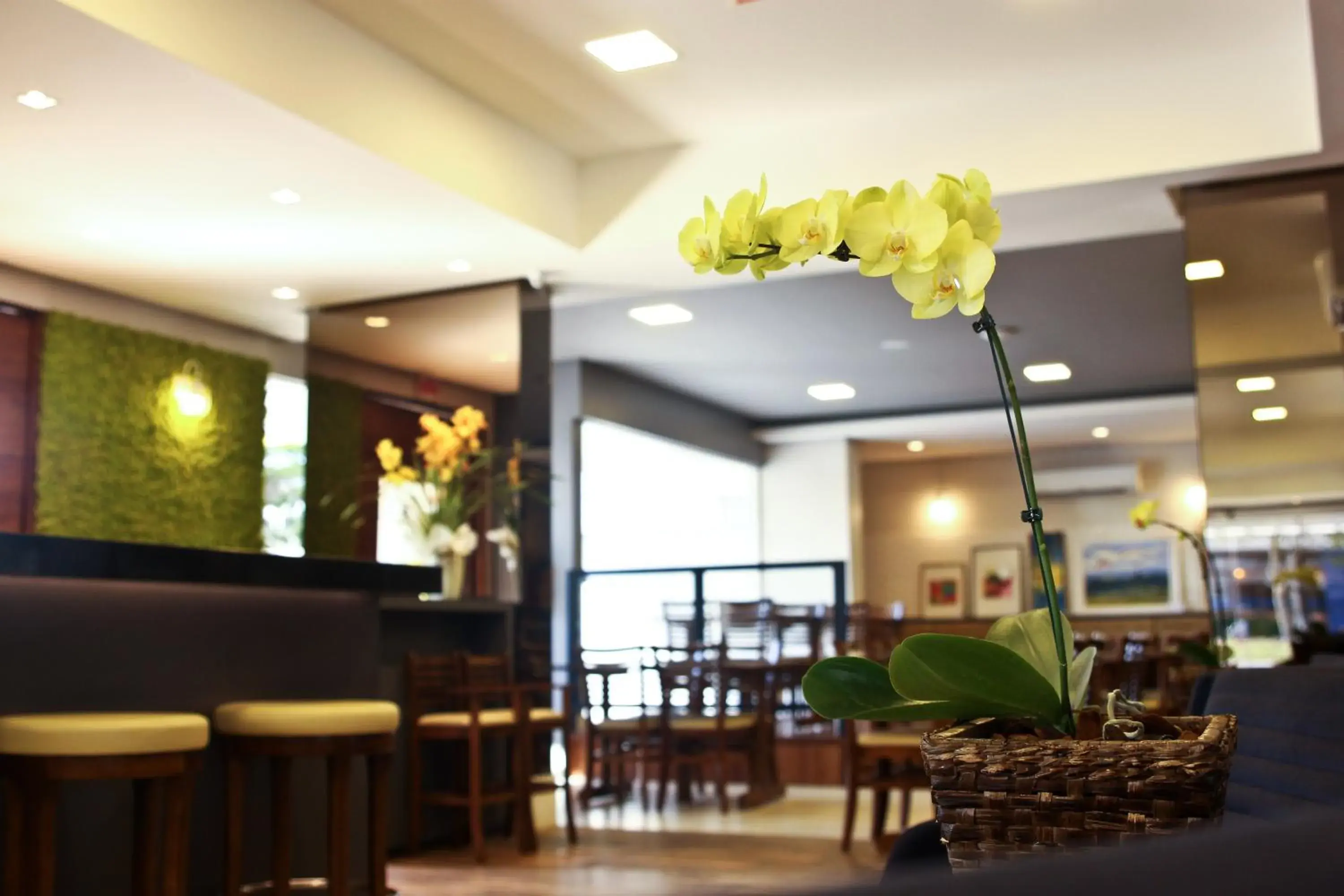 Lounge or bar in Blue Hill Hotel Lounge or bar in Blue Hill Hotel