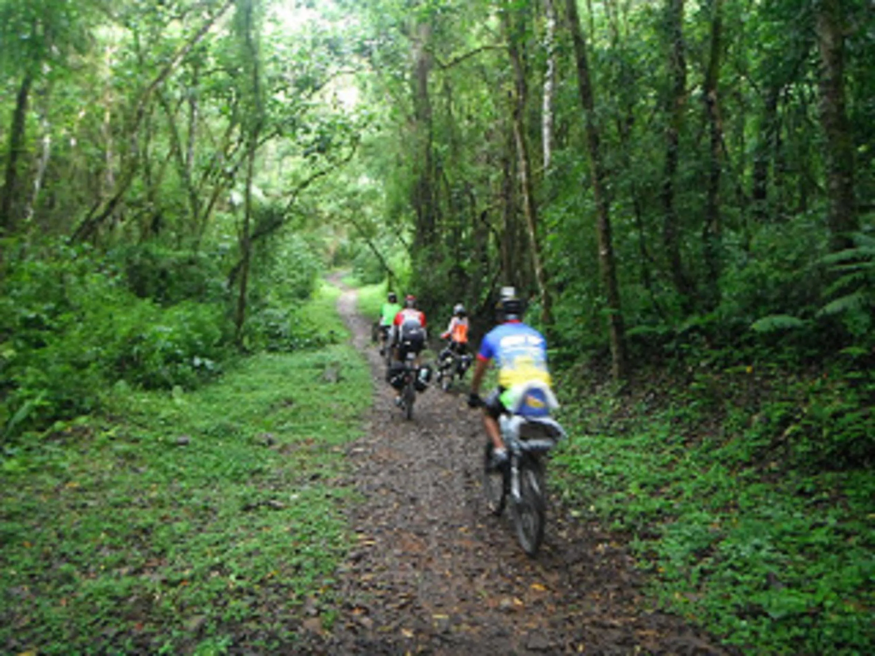 Horse-riding in Blue Hill Hotel