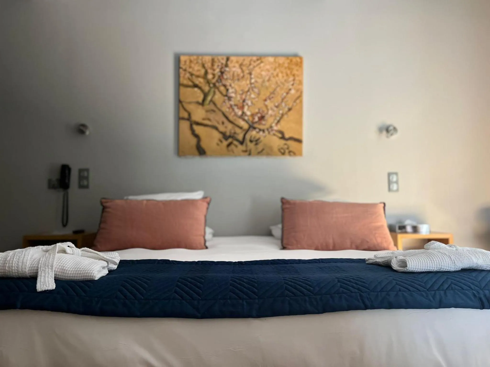 Bed in Boutique Hôtel Entraigues