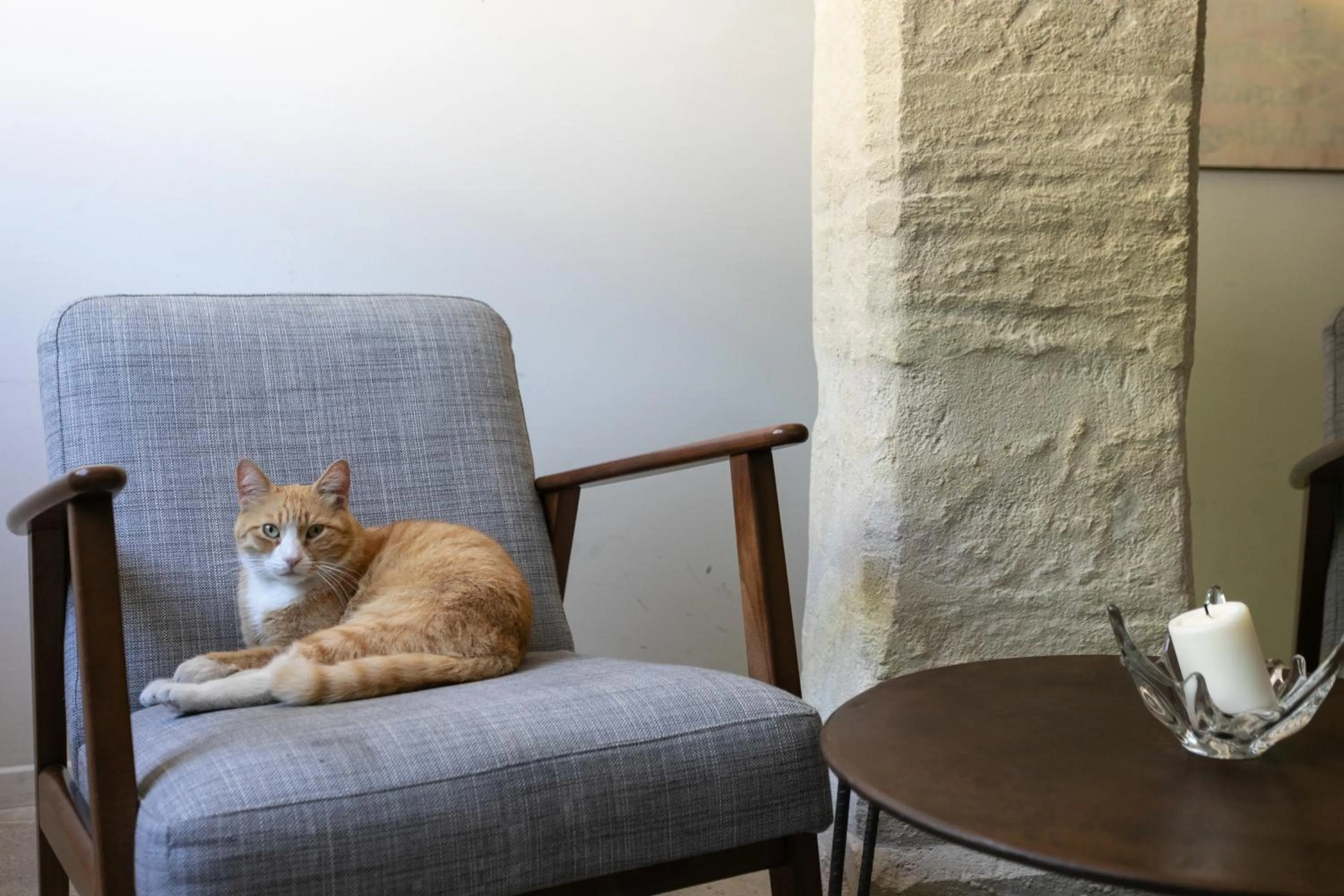 Pets in Boutique Hôtel Entraigues