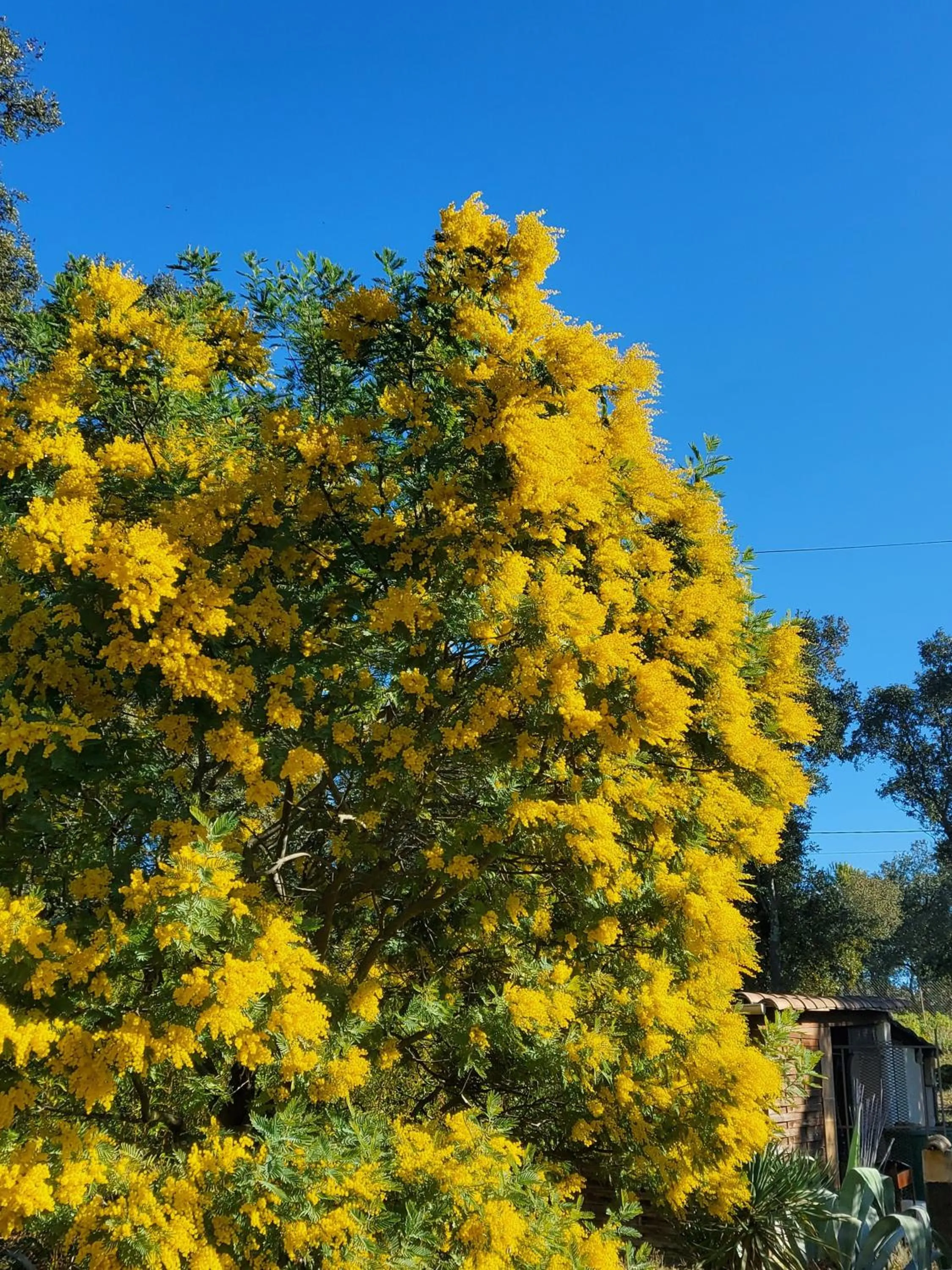 Nearby landmark in Boutique Hôtel Entraigues