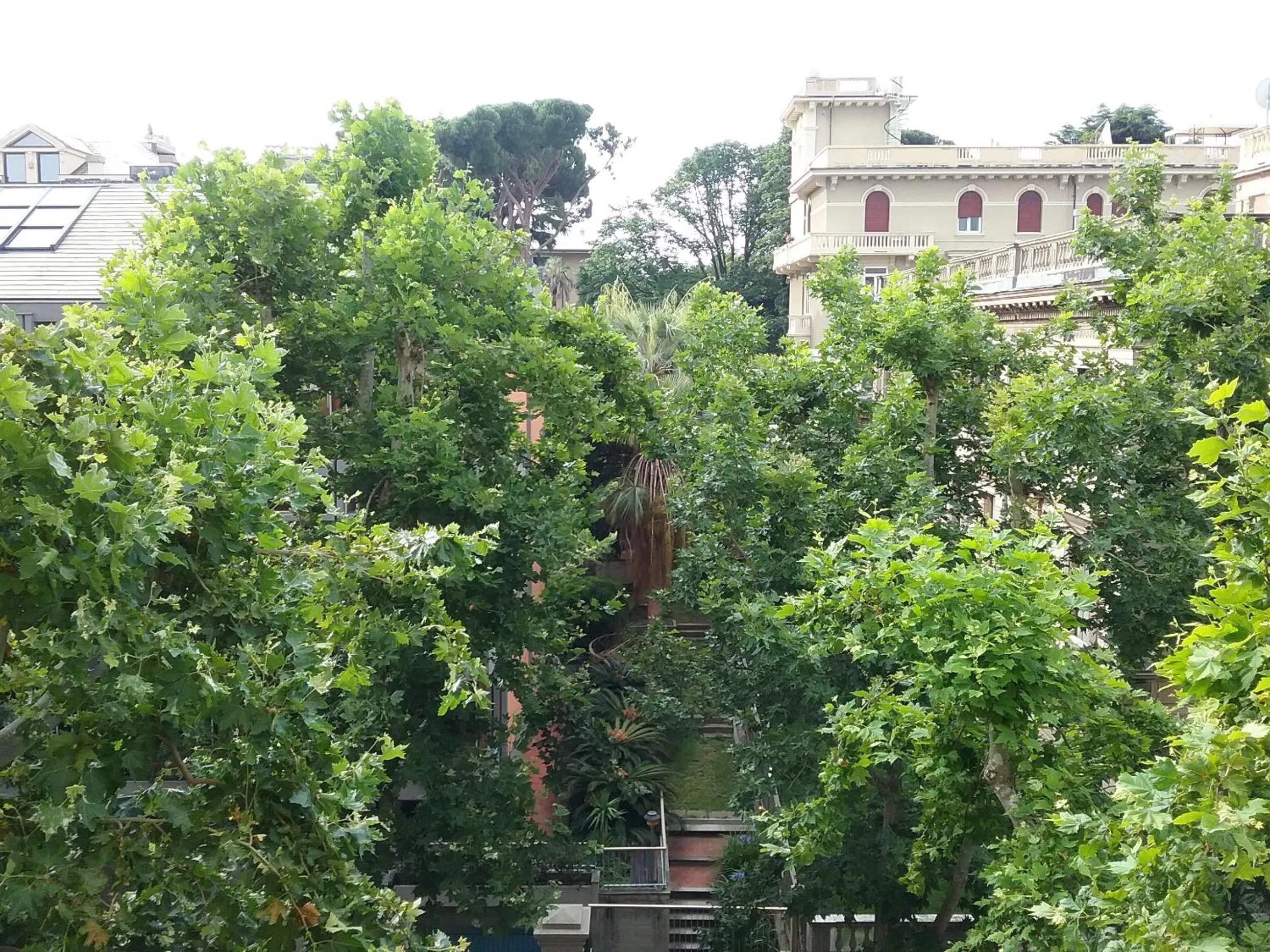 Neighbourhood in B&B Albaro