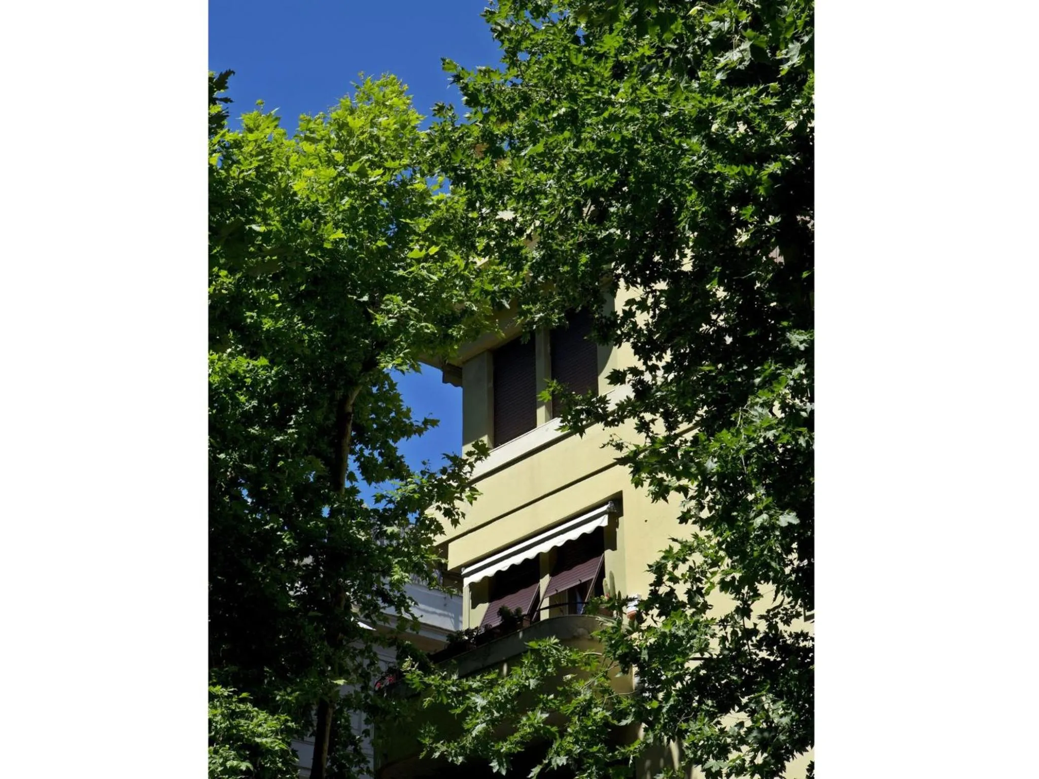 Property building in B&B Albaro