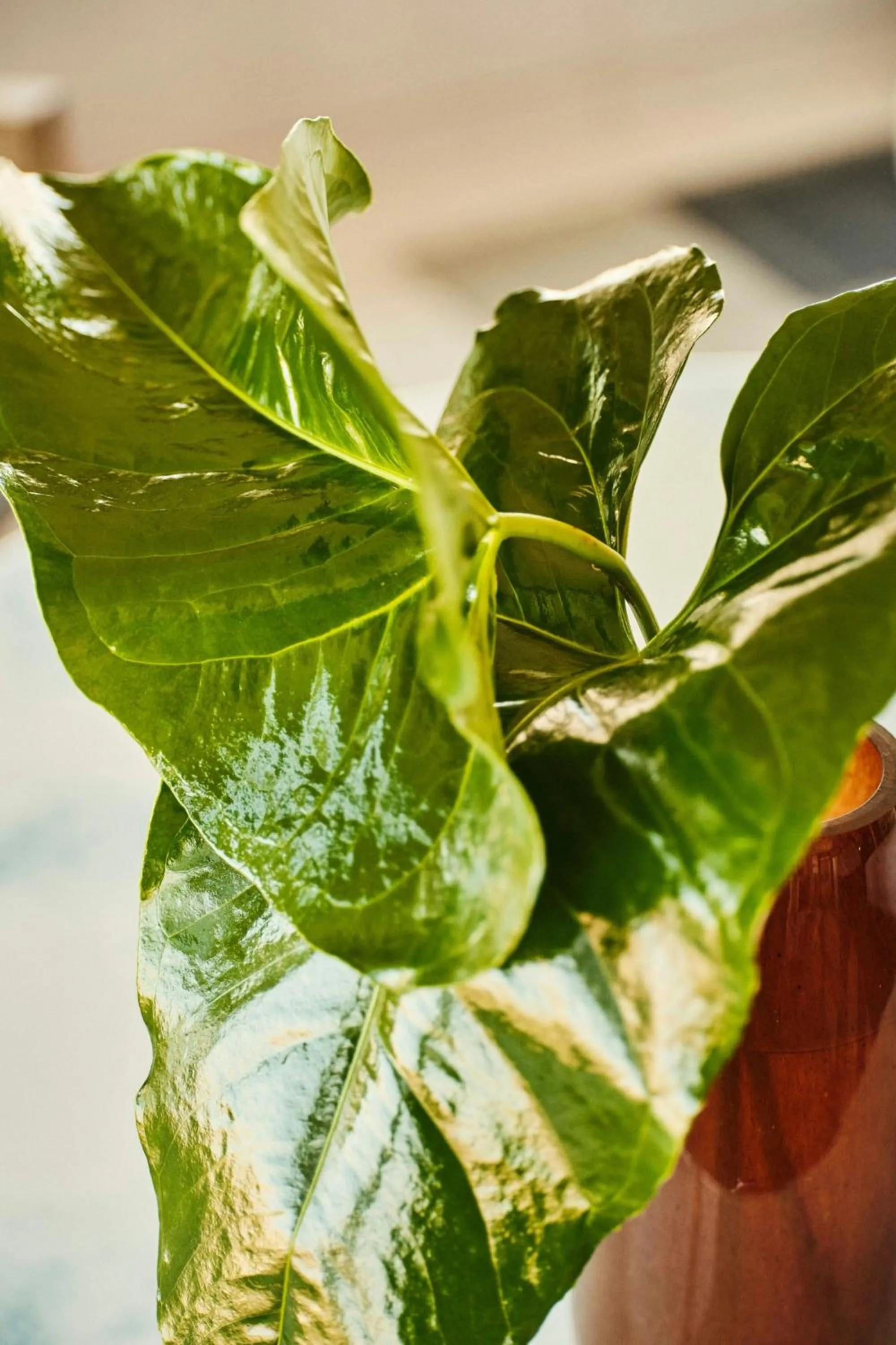 Photo of the whole room in Hotel Arts Barcelona