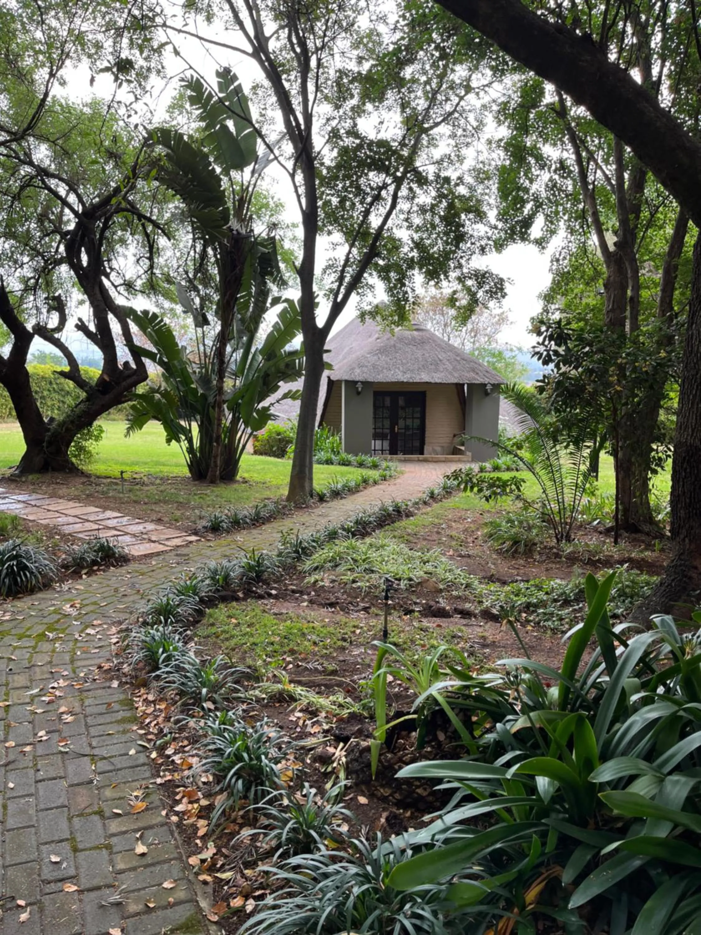 Garden in Monchique Boutique Guest House