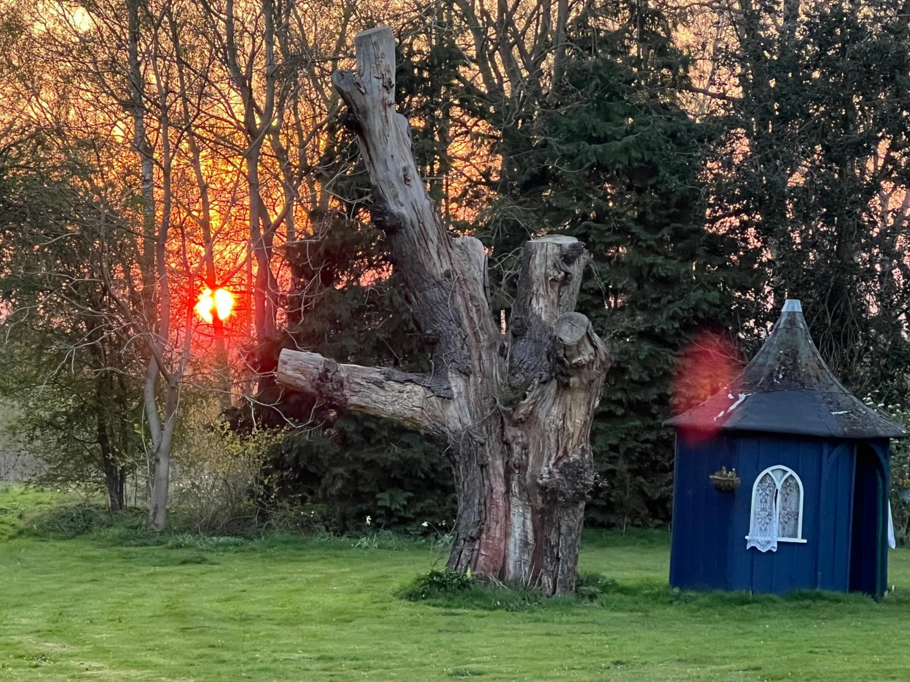 Garden in Beightons Bed and Breakfast