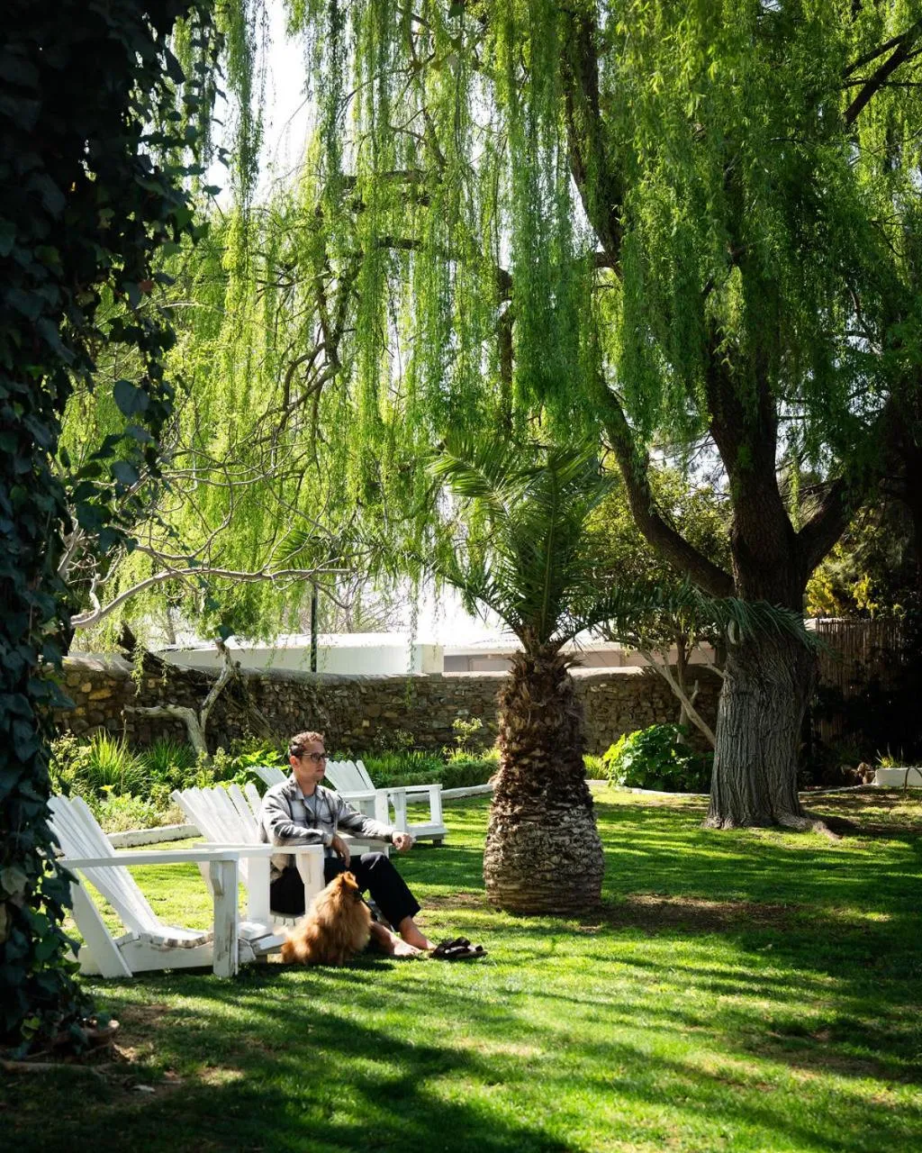 Garden in The Hanover Luxury Hotel
