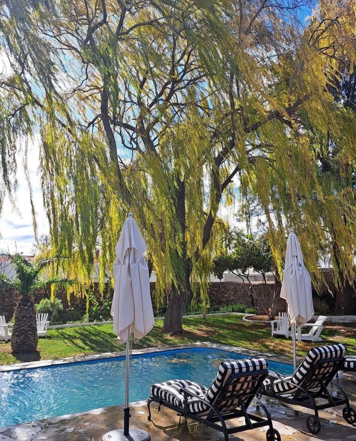 Garden view in The Hanover Luxury Hotel