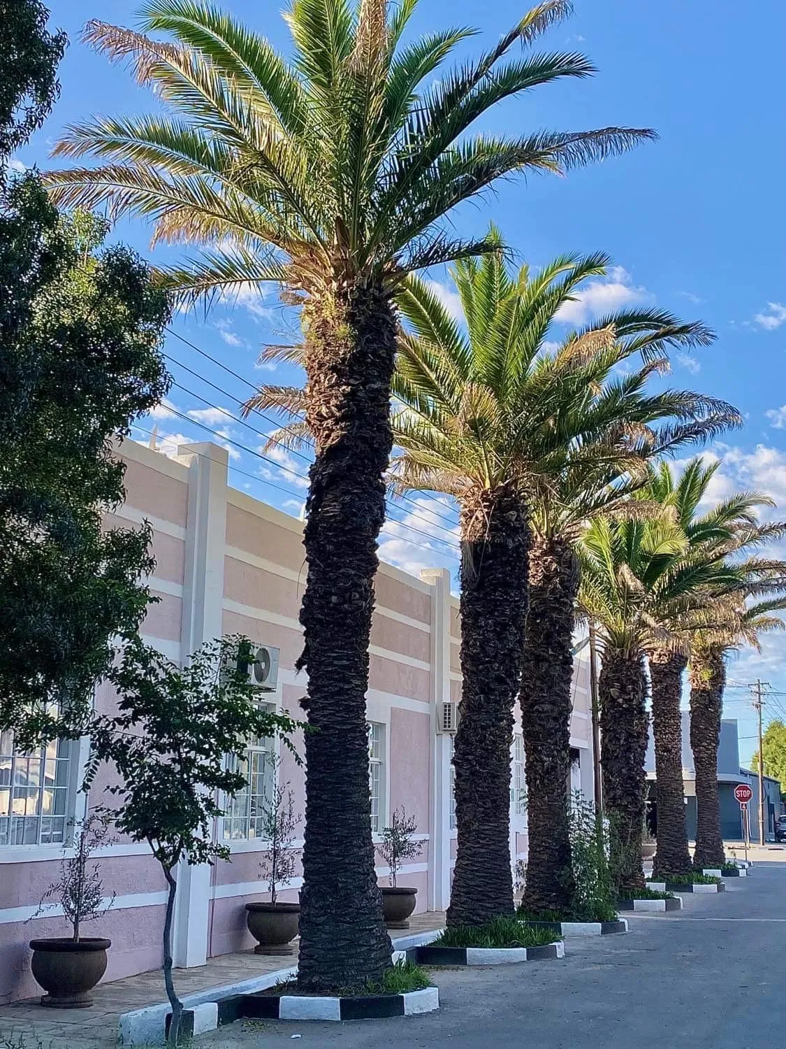 Property building in The Hanover Luxury Hotel