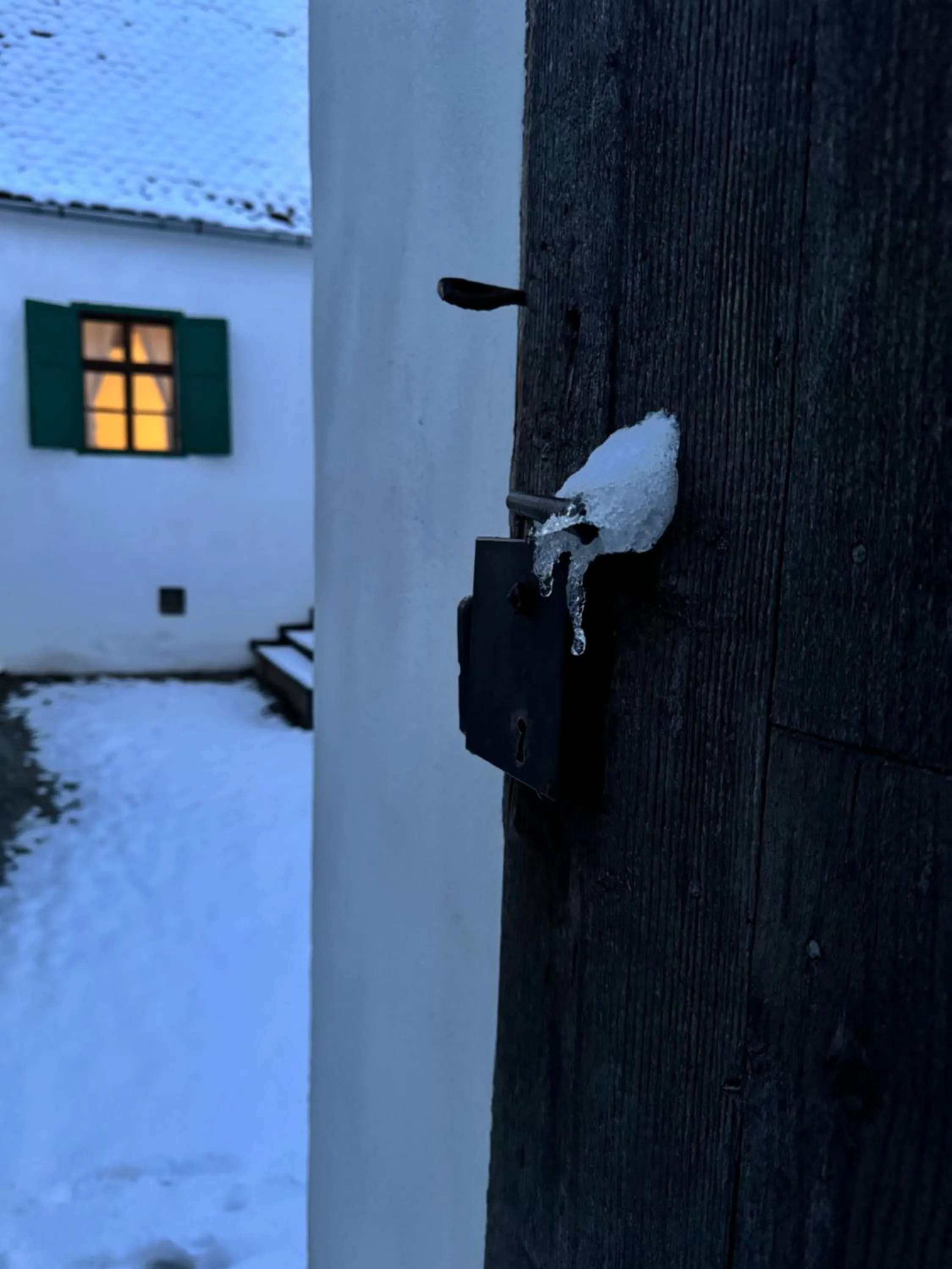 Veseud11