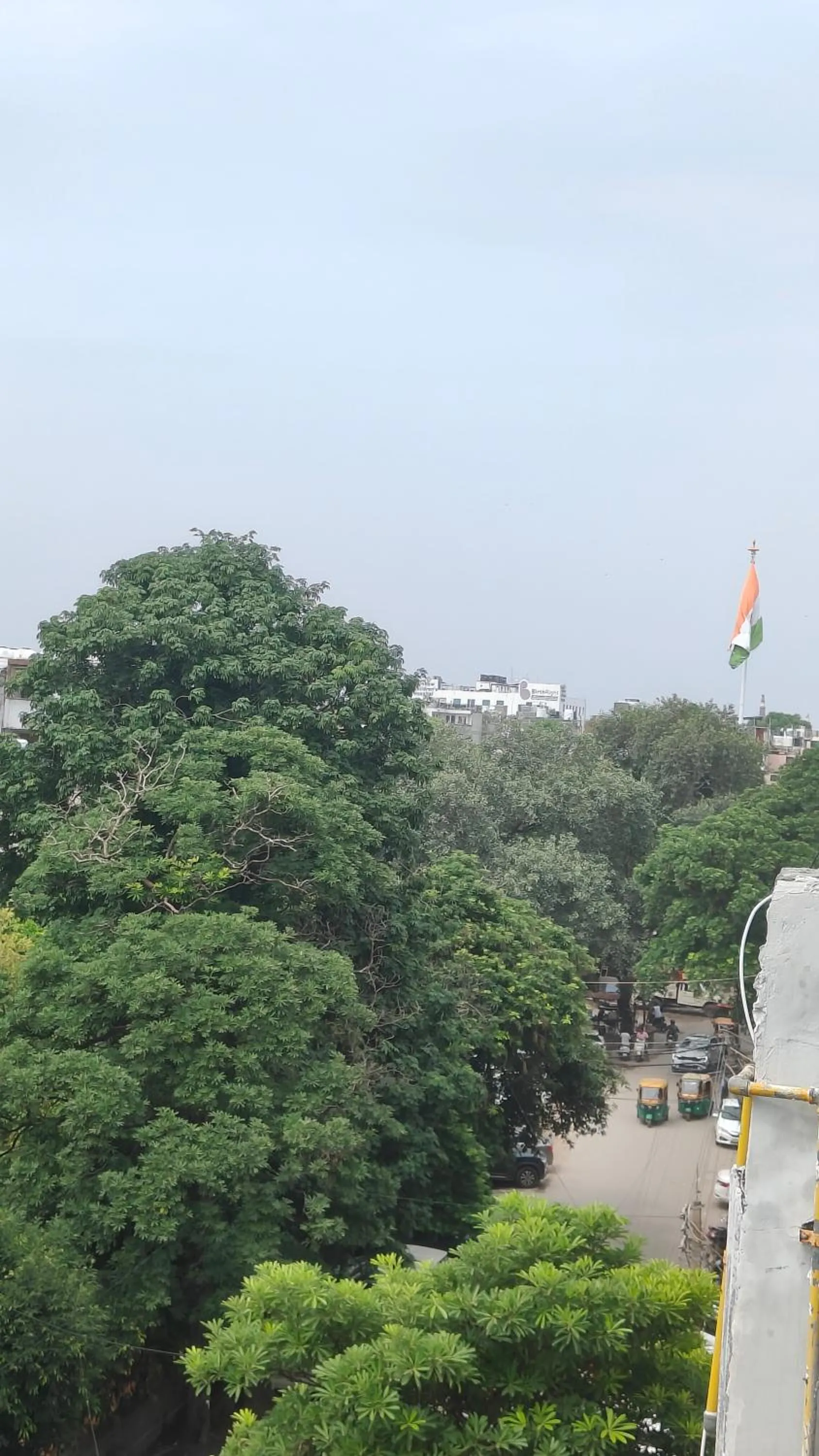 Natural landscape in Ashok Vatika