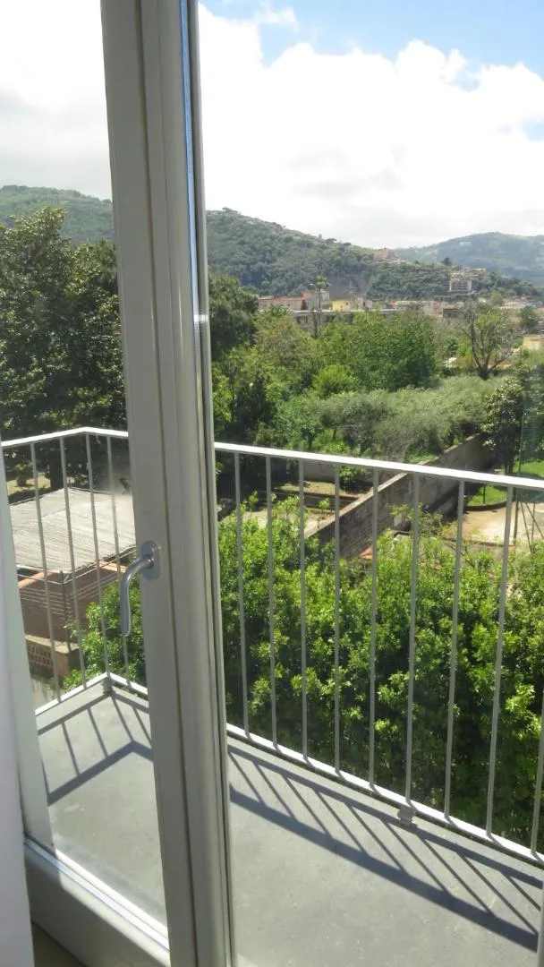 Garden view in Seven Hostel & Rooms