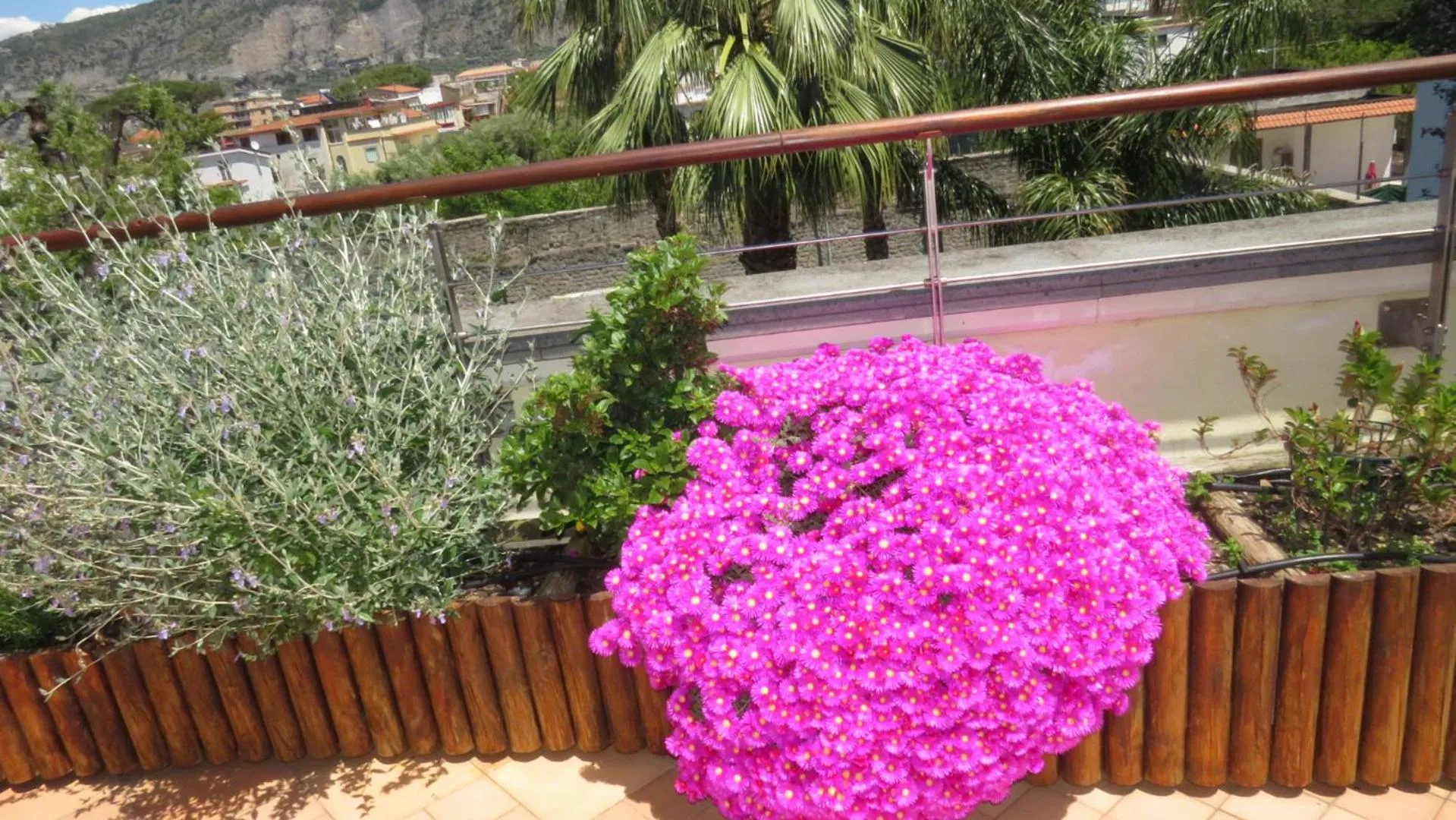 Balcony/Terrace in Seven Hostel & Rooms