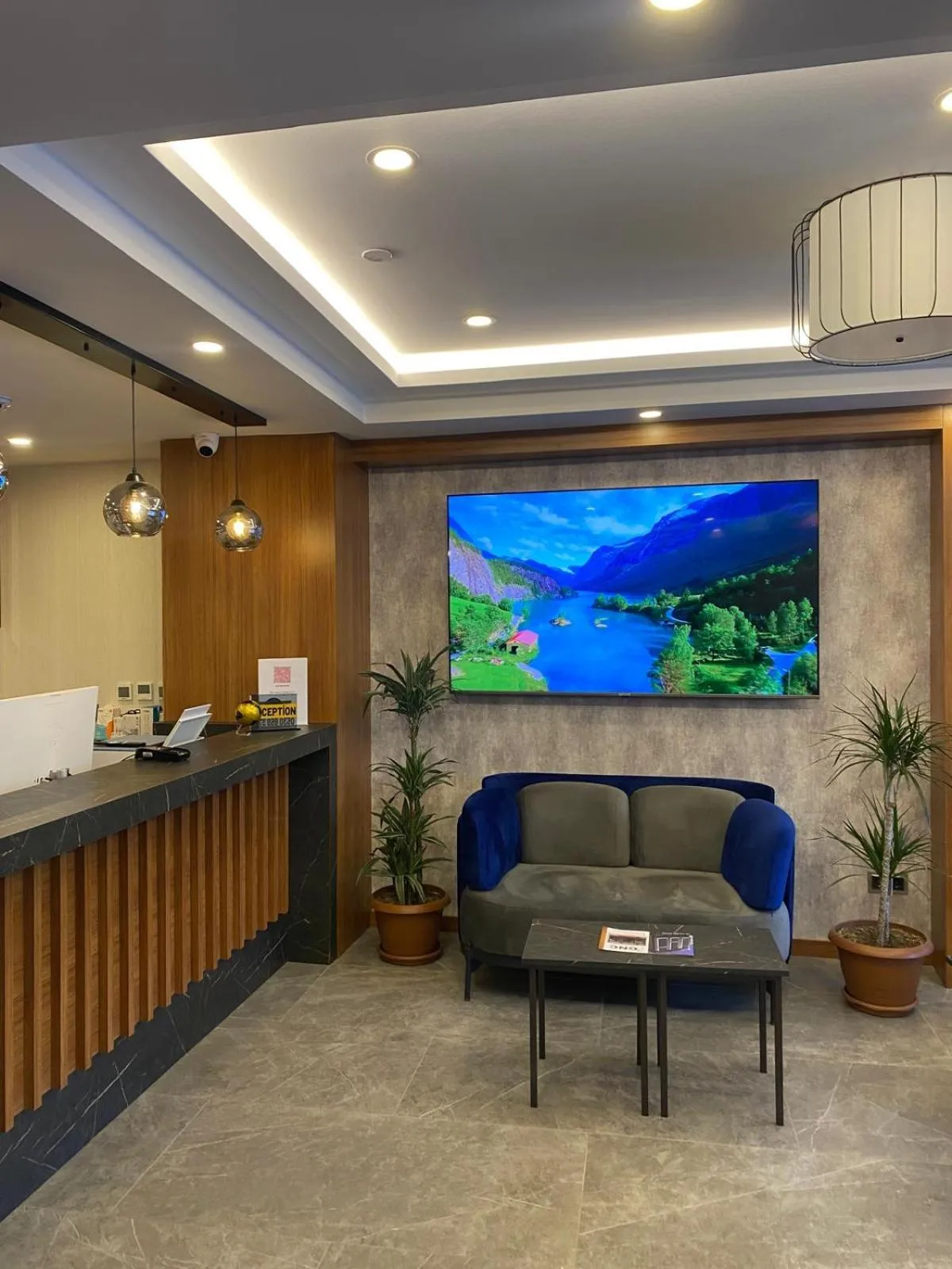 TV and multimedia in Gnc Airport Hotel