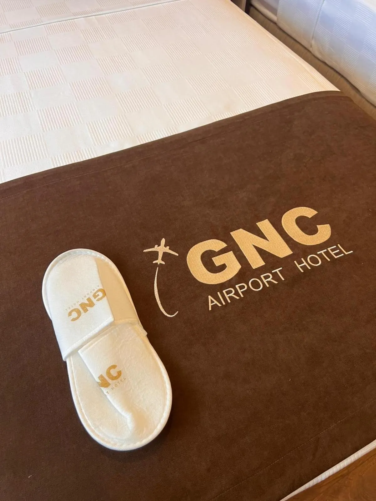 Property logo or sign in Gnc Airport Hotel