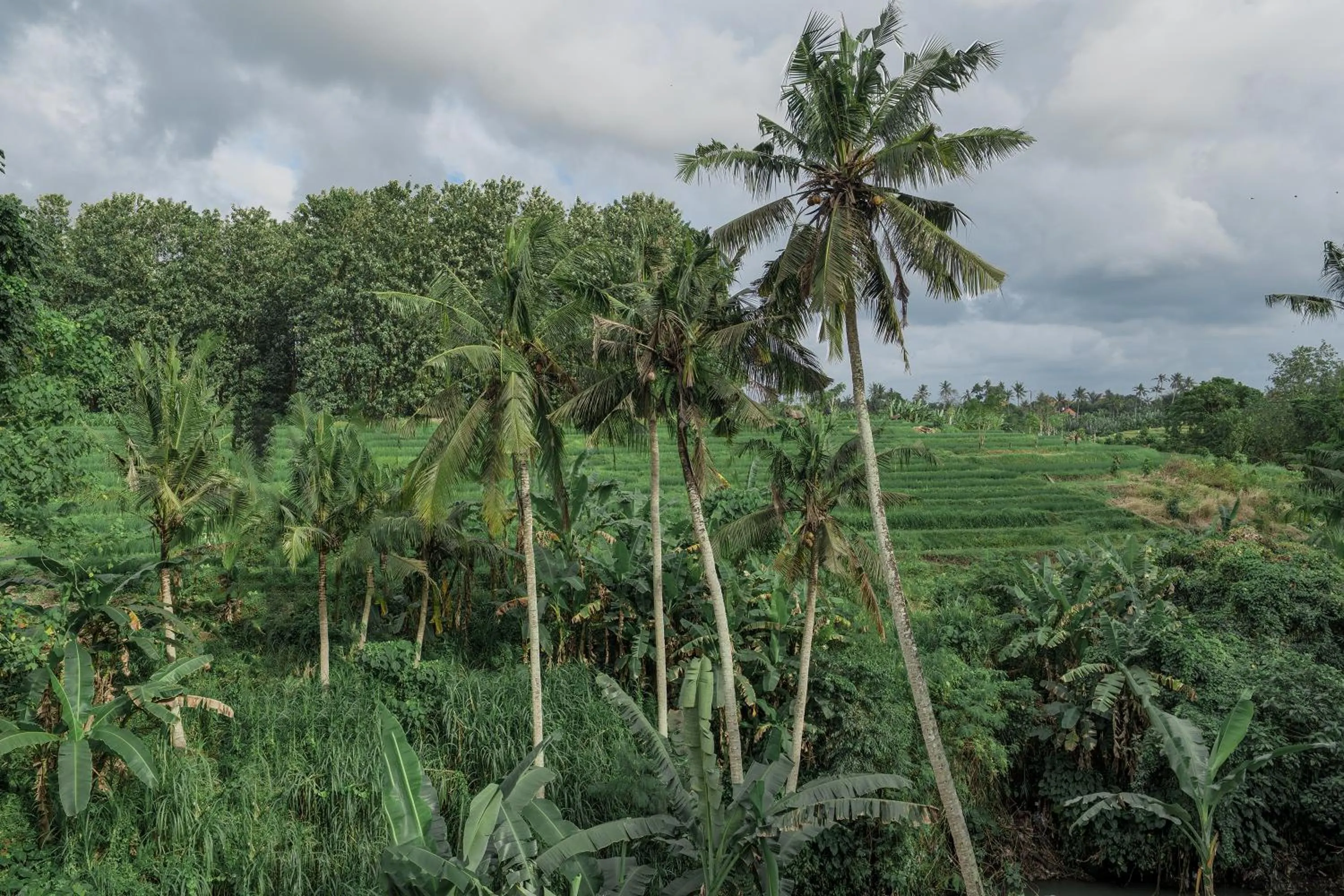 Moon Rock Villas by Ribas