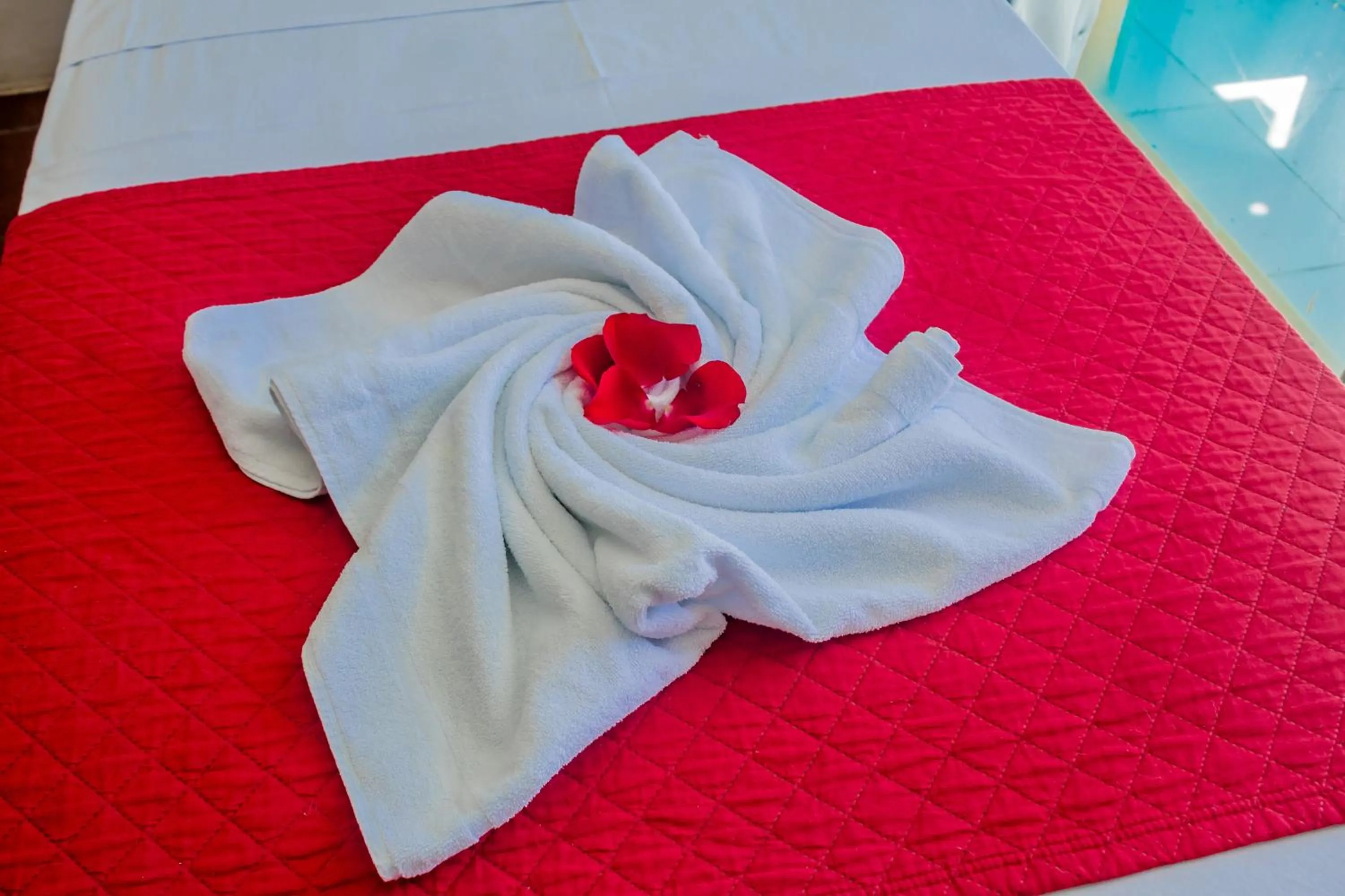 Bed in Hotel Paraiso Natal - Beira Mar