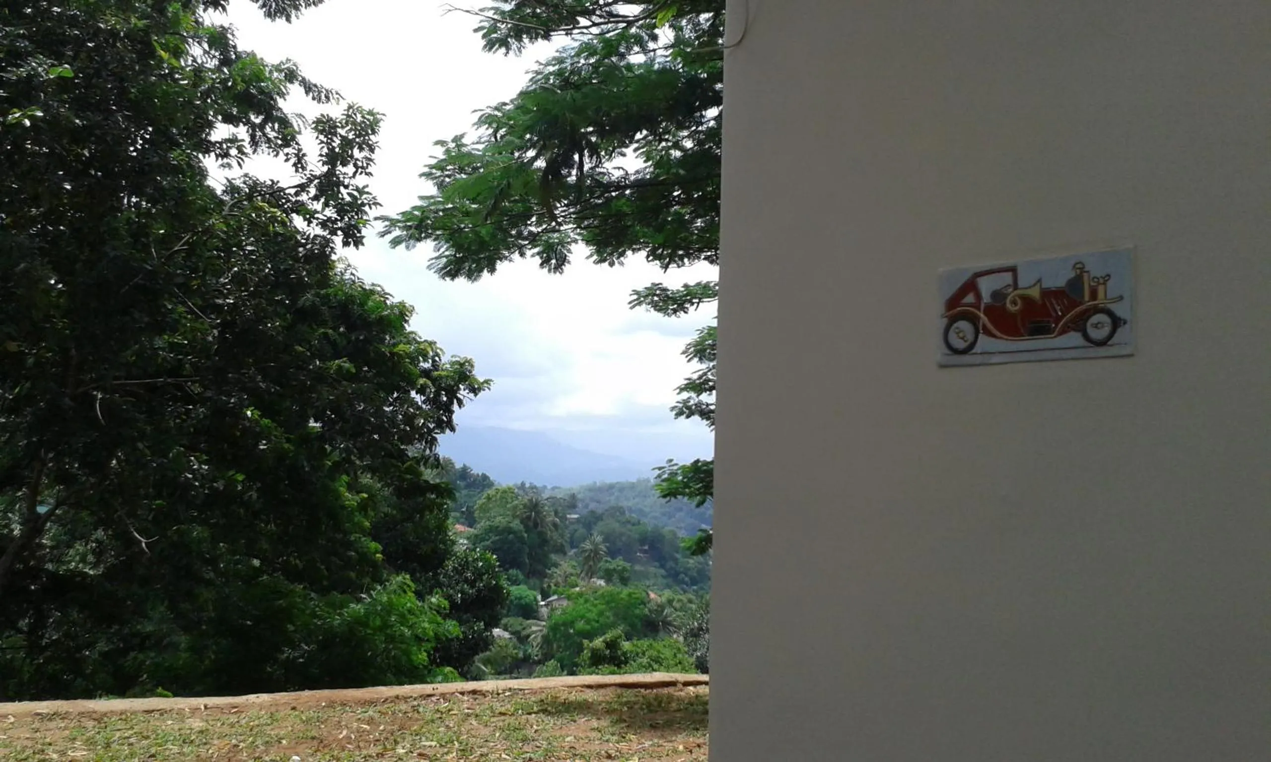 Garden in The Buena Vista Kandy
