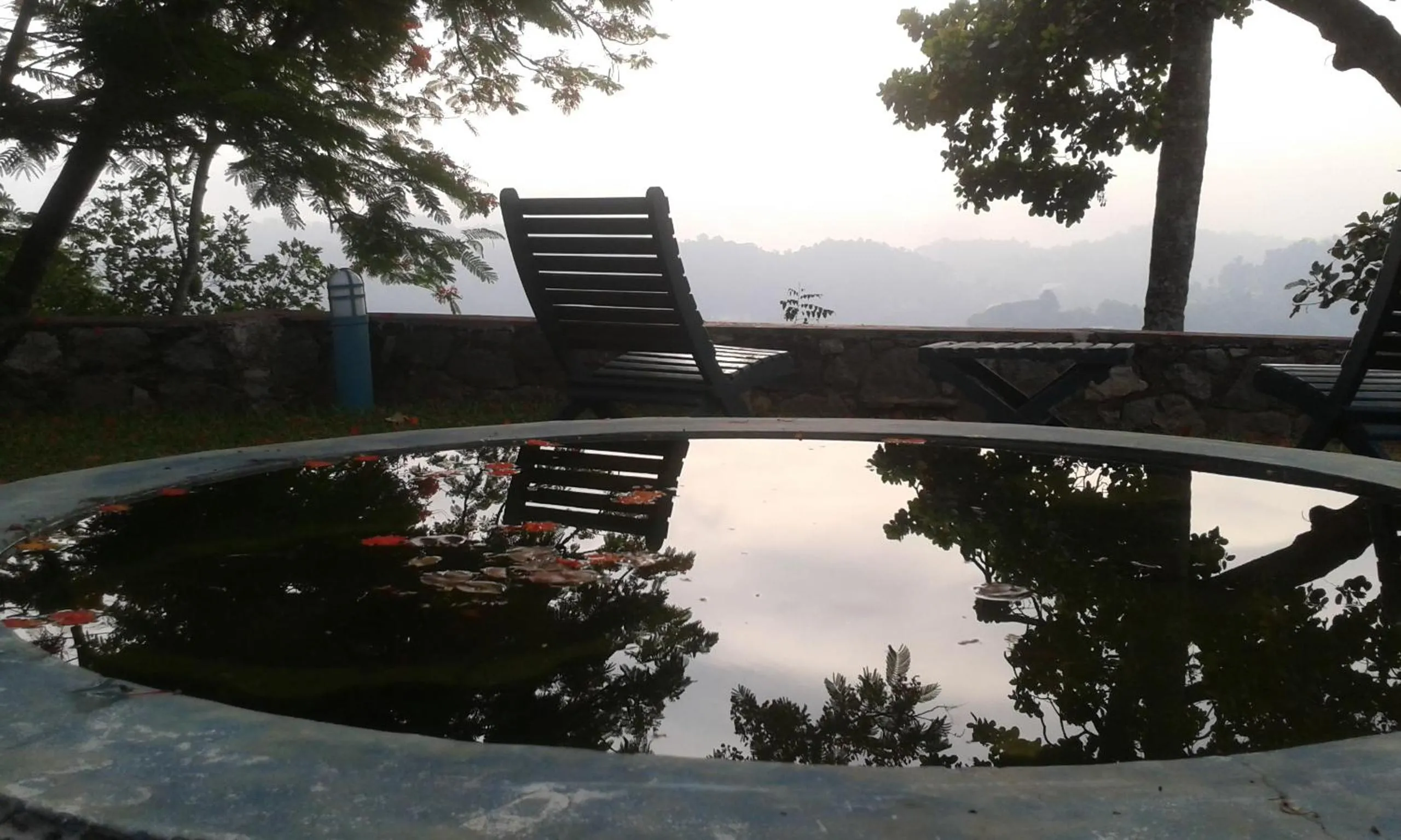 Garden view in The Buena Vista Kandy