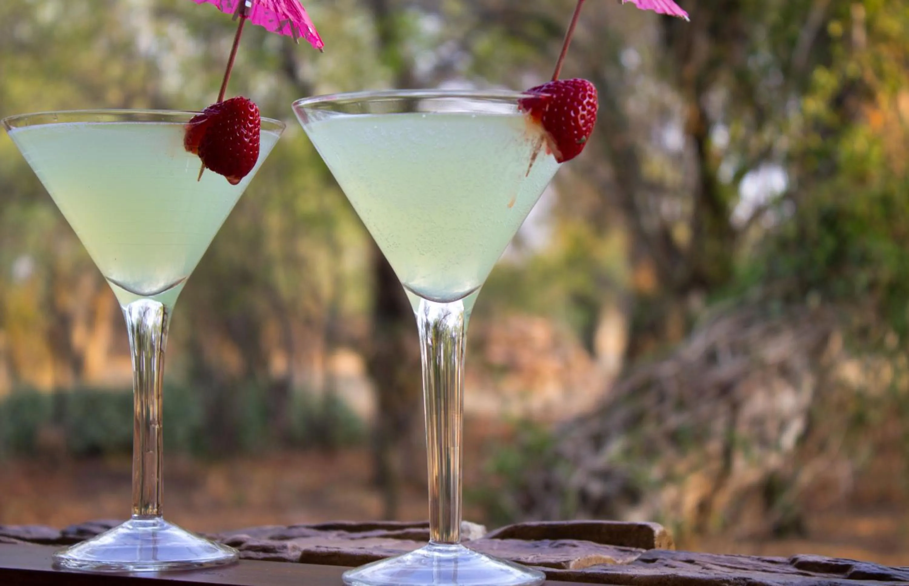 Alcoholic drinks in Foreva Wild