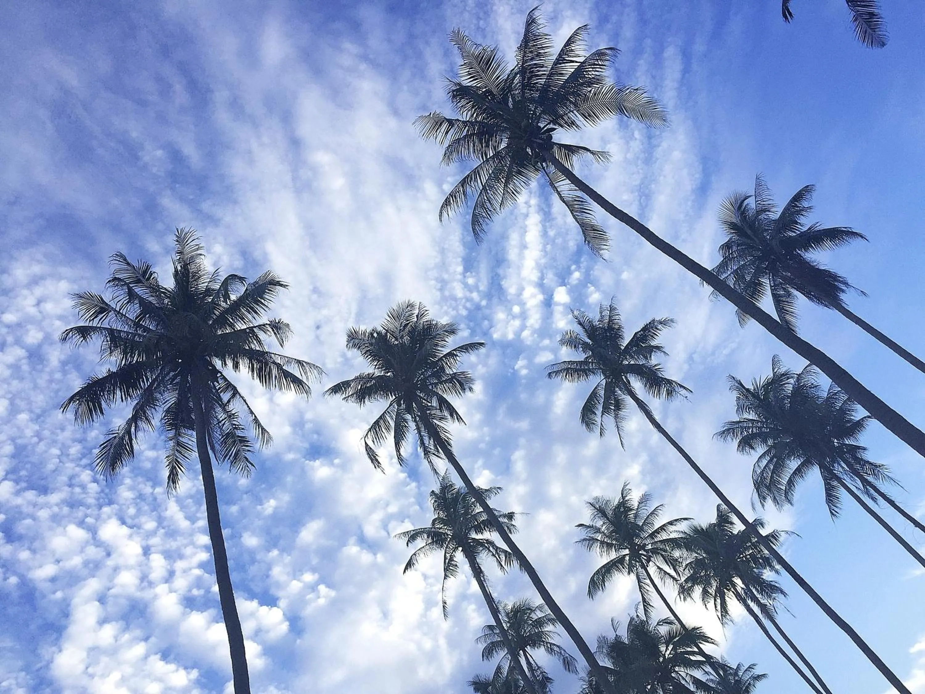 Other in Ta-Lay Time KohMak