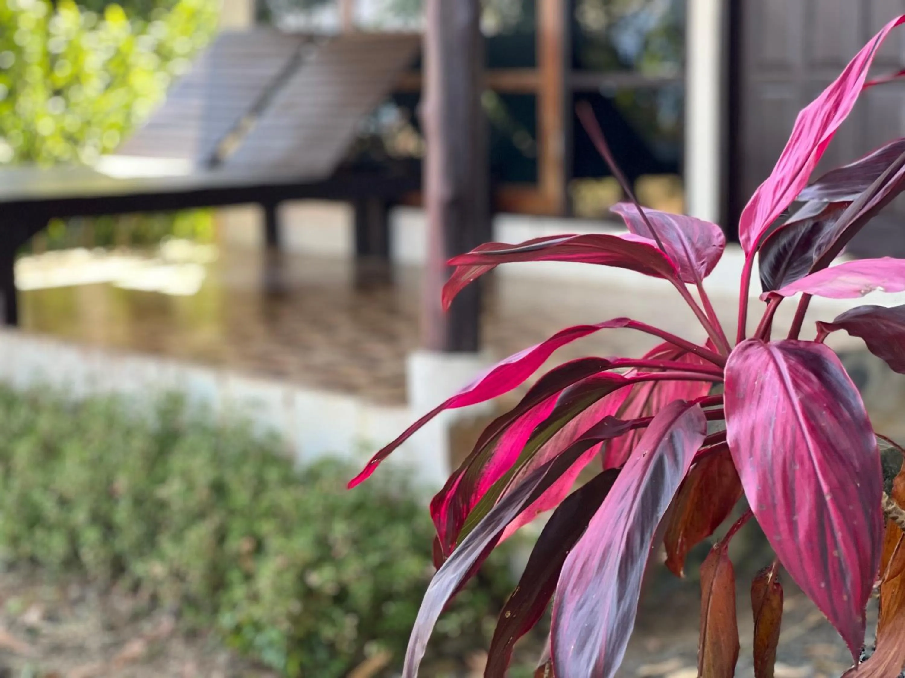 Garden in Ta-Lay Time KohMak