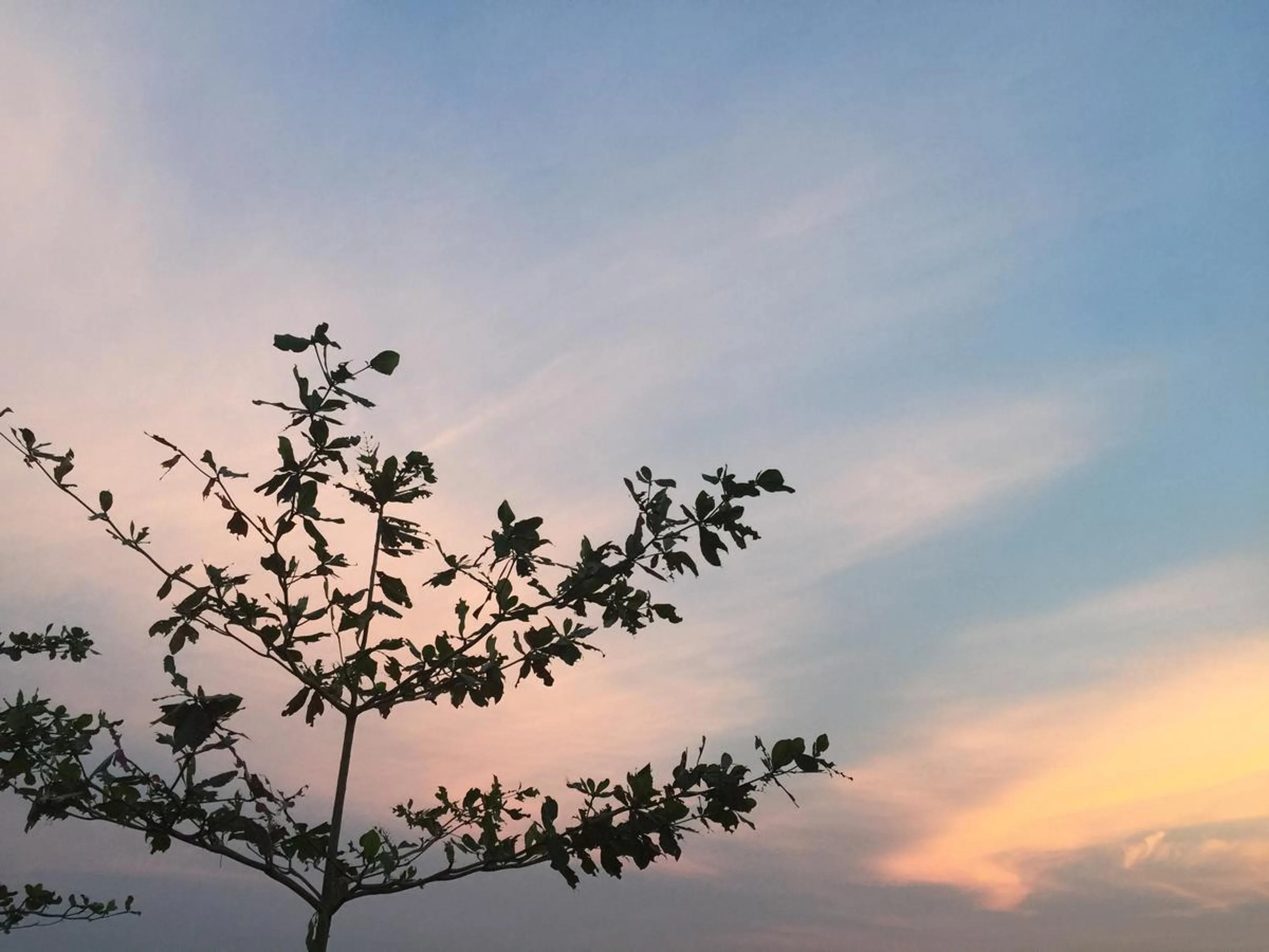Other in Ta-Lay Time KohMak